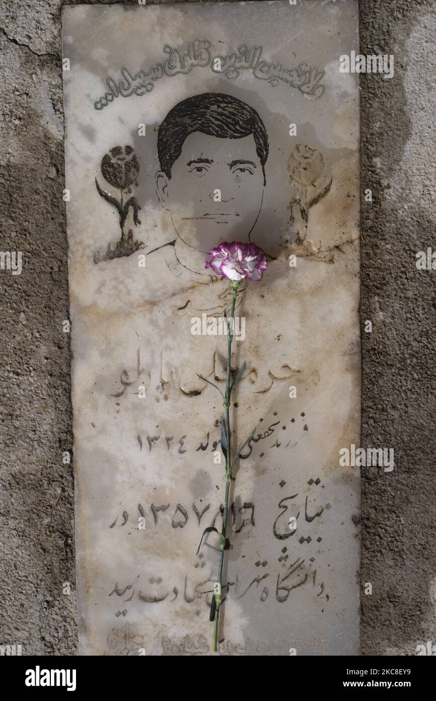 Eine Blume ist auf einem Grabstein eines iranischen Mannes abgebildet, der während der Unruhen der Islamischen Revolution im Iran im Jahr 1979 am ersten Tag der zehntägigen Feier zum Jahrestag des Sieges der Islamischen Revolution getötet hat. Auf dem Friedhof Behesht-e Zahra im Süden Teherans, inmitten des COVID-19-Ausbruchs im Iran am 31. Januar 2021. Der Iran feiert zehn Tage nach dem heutigen Tag den 42.. Jahrestag des Sieges der Islamischen Revolution, aber der Ausbruch der neuen Coronavirus-Krankheit (COVID-19) hat die diesjährigen Feierlichkeiten nicht wie in den vergangenen Jahren gefeiert. (Foto von Morteza Nikoubazl/NurPhoto) Stockfoto