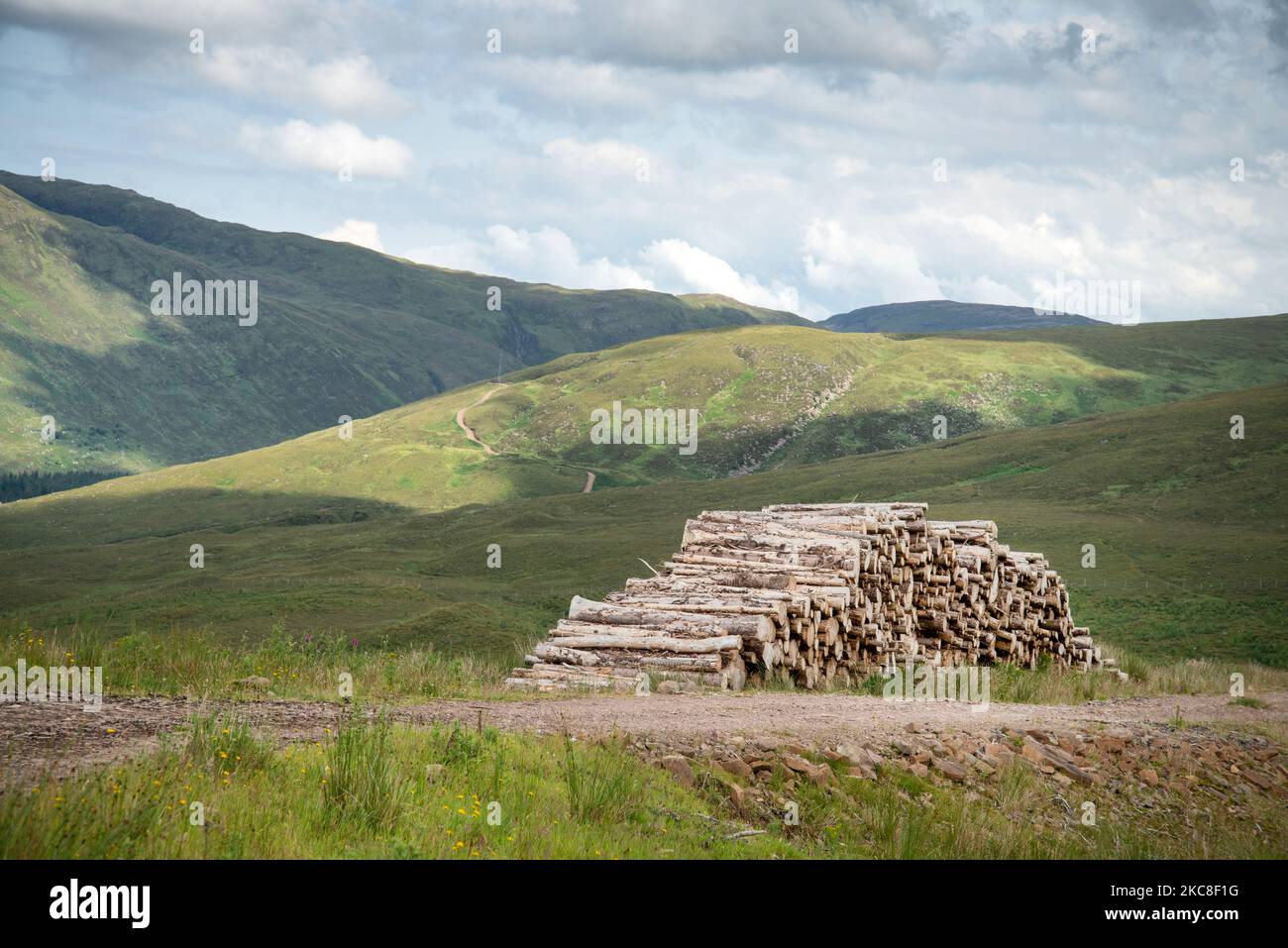 Holzstämme stapelten sich, neben dem Feldweg, dem Sommerwetter und den schottischen Bergen dahinter, sonnig mit Wolken, die Schatten über das Land ziehen. Stockfoto