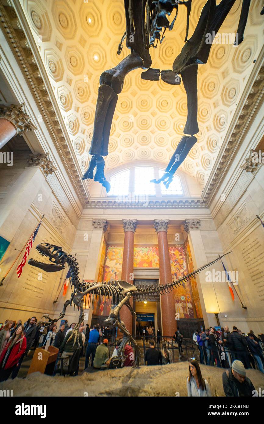 Weitwinkelansicht in der Theodore Roosevelt Rotunda, der Hauptlobby mit Dinosaurierfossilien, die im American Museum of Natural History AMNH in der Upper West Side von Manhattan in der Nähe des Central Park in New York City öffentlich ausgestellt sind. Das Museum empfängt jährlich rund 5 Millionen Besucher, Touristen, Einheimische und Studenten. New York, Vereinigte Staaten von Amerika USA am 2020. Februar (Foto von Nicolas Economou/NurPhoto) Stockfoto