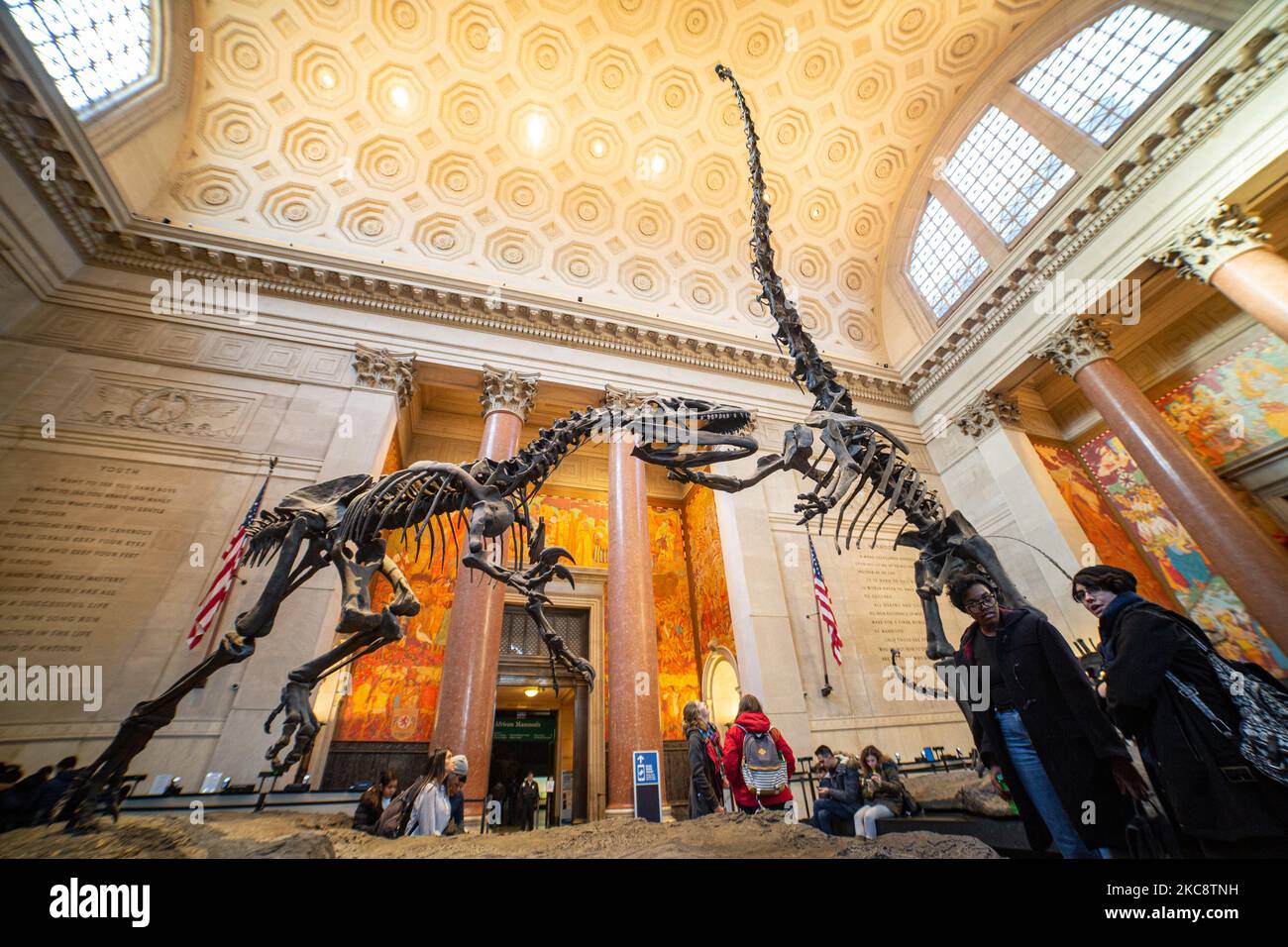 Weitwinkelansicht in der Theodore Roosevelt Rotunda, der Hauptlobby mit Dinosaurierfossilien, die im American Museum of Natural History AMNH in der Upper West Side von Manhattan in der Nähe des Central Park in New York City öffentlich ausgestellt sind. Das Museum empfängt jährlich rund 5 Millionen Besucher, Touristen, Einheimische und Studenten. New York, Vereinigte Staaten von Amerika USA am 2020. Februar (Foto von Nicolas Economou/NurPhoto) Stockfoto