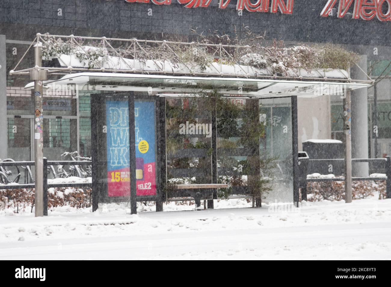 Die leere Bushaltestelle in Eindhoven. Blizzard vom Schneesturm Darcy in den Niederlanden, dem ersten starken Schneefall mit starken Winden nach 2010, der den Transport im ganzen Land störte. Die Niederländer erwachten am Sonntag mit einer Schneeschicht, die alles bedeckte. Viele Unfälle ereigneten sich auf den Straßen aufgrund des Sturms und der eisigen Bedingungen, während es auch Probleme mit den Zügen gab. In der Stadt Eindhoven in Nordbrabant wurde der Bahn- und Busverkehr eingestellt, der Flughafen folgte und der Luftverkehr umgeleitet. Im Stadtzentrum von Eindhoven gingen die Leute hinaus, um Spaß zu haben und Witz zu haben Stockfoto