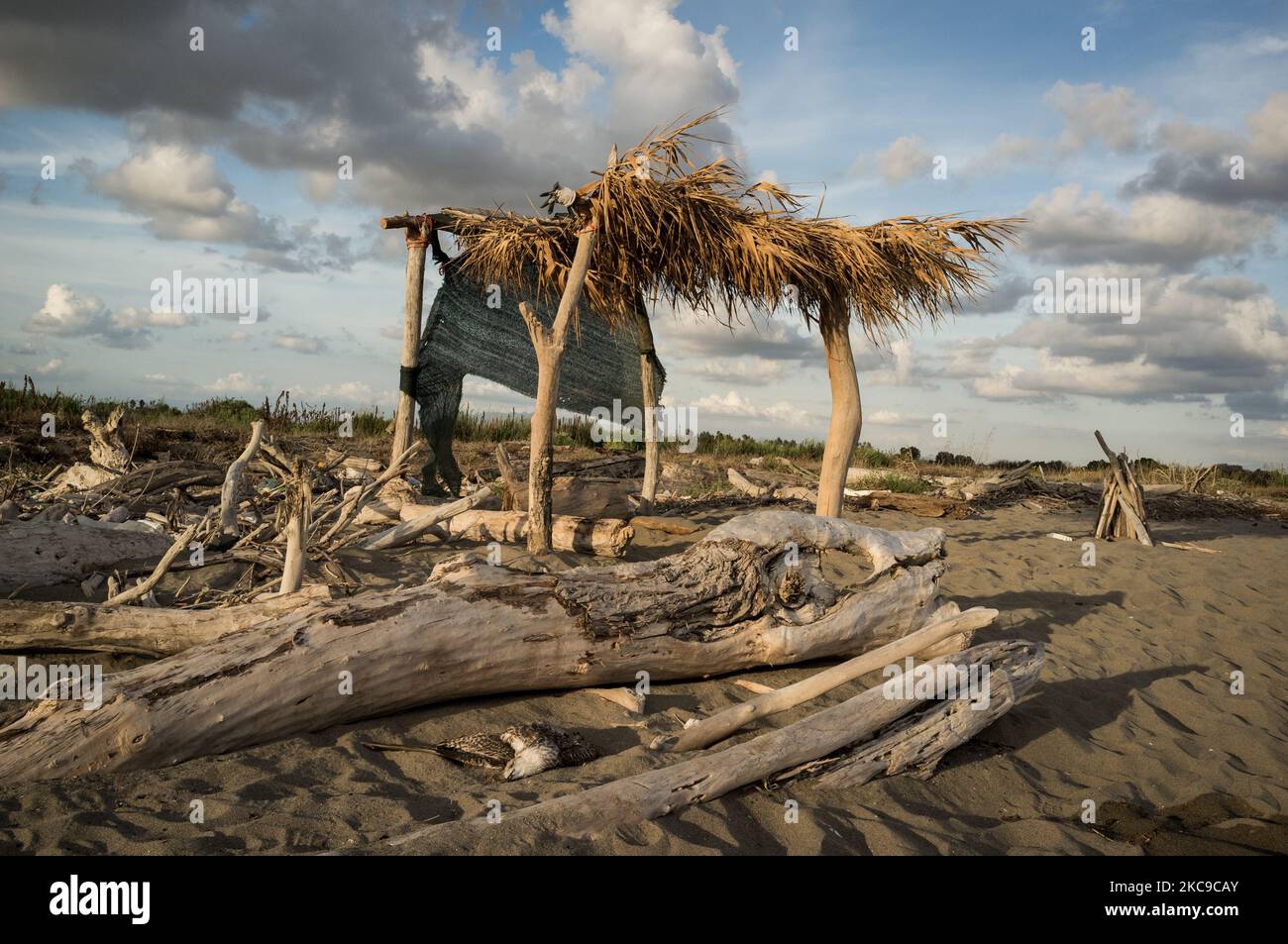 Dieses Foto vom 8. September 2019 zeigt eine tote Möwe am Strand von Castel Volturno (Caserta). Die „Terra dei Fuochi“ ist ein Gebiet der Region Kampanien zwischen Neapel und Caserta, das als solches durch giftige Abfallbrände und die Auslösung von Abfallbränden gekennzeichnet ist, die sich stark auf die Gesundheit der lokalen Bevölkerung ausgewirkt haben. Die Staatsanwaltschaft von Neapel Nord (Gerichtsgebäude in Aversa) mit dem Istituto Superiore di Sanit hat den schlüssigen Bericht über den Zusammenhang zwischen der Präsenz unkontrollierter Deponien auf dem Gebiet der Munizipale bestätigt Stockfoto