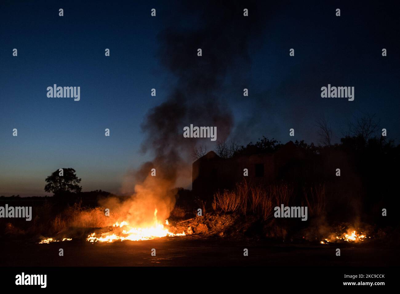 Dieses Foto vom 9. September 2019 zeigt ein giftiges Feuer in der Villa Ricca (Neapel), zwischen der Grenze von Giugliano in Kampanien (Neapel) und der Villa Literno (Caserta) im Zentrum des Terre dei Fuochi „Landes der Feuer“. Das „Land der Brände“ ist ein Gebiet der Region Kampanien zwischen Neapel und Caserta, das als solches von toxischen Abfallbränden und der Entzündung von Abfallbränden berichtet wird, die starke Auswirkungen auf die Gesundheit der lokalen Bevölkerung hatten. Die Staatsanwaltschaft von Neapel Nord (Gerichtsgebäude in Aversa) mit dem Istituto Superiore di Sanità hat das Ergebnis bestätigt Stockfoto