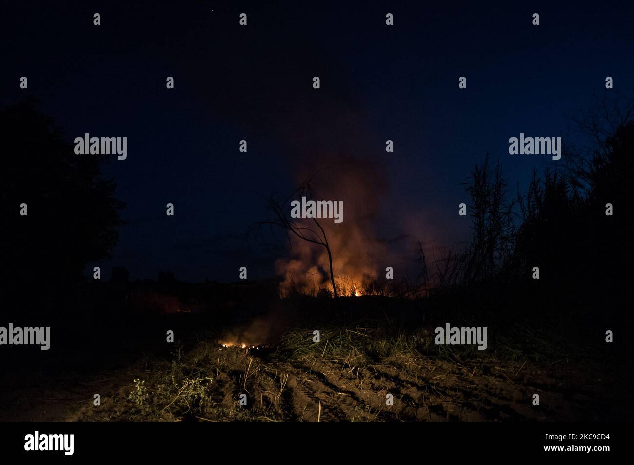 Dieses Foto vom 9. September 2019 zeigt ein giftiges Feuer in der Villa Ricca (Neapel), zwischen der Grenze von Giugliano in Kampanien (Neapel) und der Villa Literno (Caserta) im Zentrum des Terre dei Fuochi „Landes der Feuer“. Das „Land der Brände“ ist ein Gebiet der Region Kampanien zwischen Neapel und Caserta, das als solches von toxischen Abfallbränden und der Entzündung von Abfallbränden berichtet wird, die starke Auswirkungen auf die Gesundheit der lokalen Bevölkerung hatten. Die Staatsanwaltschaft von Neapel Nord (Gerichtsgebäude in Aversa) mit dem Istituto Superiore di Sanità hat das Ergebnis bestätigt Stockfoto