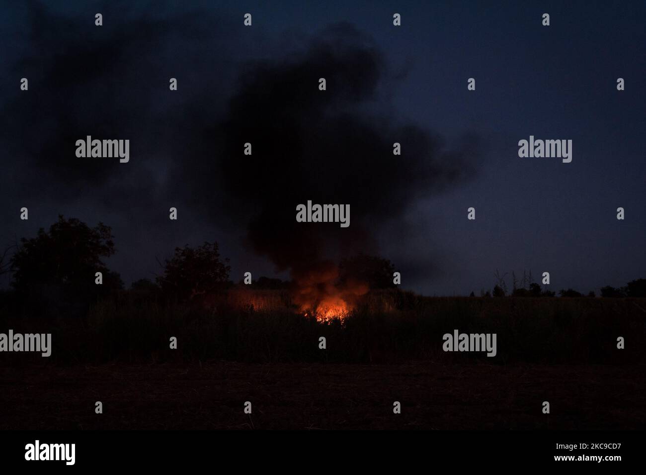 Dieses Foto vom 9. September 2019 zeigt ein giftiges Feuer in der Villa Ricca (Neapel), zwischen der Grenze von Giugliano in Kampanien (Neapel) und der Villa Literno (Caserta) im Zentrum des Terre dei Fuochi „Landes der Feuer“. Das „Land der Brände“ ist ein Gebiet der Region Kampanien zwischen Neapel und Caserta, das als solches von toxischen Abfallbränden und der Entzündung von Abfallbränden berichtet wird, die starke Auswirkungen auf die Gesundheit der lokalen Bevölkerung hatten. Die Staatsanwaltschaft von Neapel Nord (Gerichtsgebäude in Aversa) mit dem Istituto Superiore di Sanità hat das Ergebnis bestätigt Stockfoto