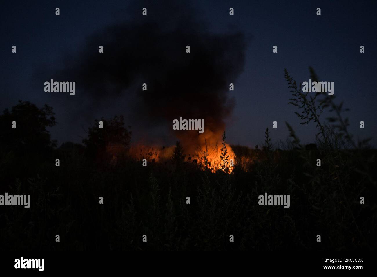 Dieses Foto vom 9. September 2019 zeigt ein giftiges Feuer in der Villa Ricca (Neapel), zwischen der Grenze von Giugliano in Kampanien (Neapel) und der Villa Literno (Caserta) im Zentrum des Terre dei Fuochi „Landes der Feuer“. Das „Land der Brände“ ist ein Gebiet der Region Kampanien zwischen Neapel und Caserta, das als solches von toxischen Abfallbränden und der Entzündung von Abfallbränden berichtet wird, die starke Auswirkungen auf die Gesundheit der lokalen Bevölkerung hatten. Die Staatsanwaltschaft von Neapel Nord (Gerichtsgebäude in Aversa) mit dem Istituto Superiore di Sanità hat das Ergebnis bestätigt Stockfoto