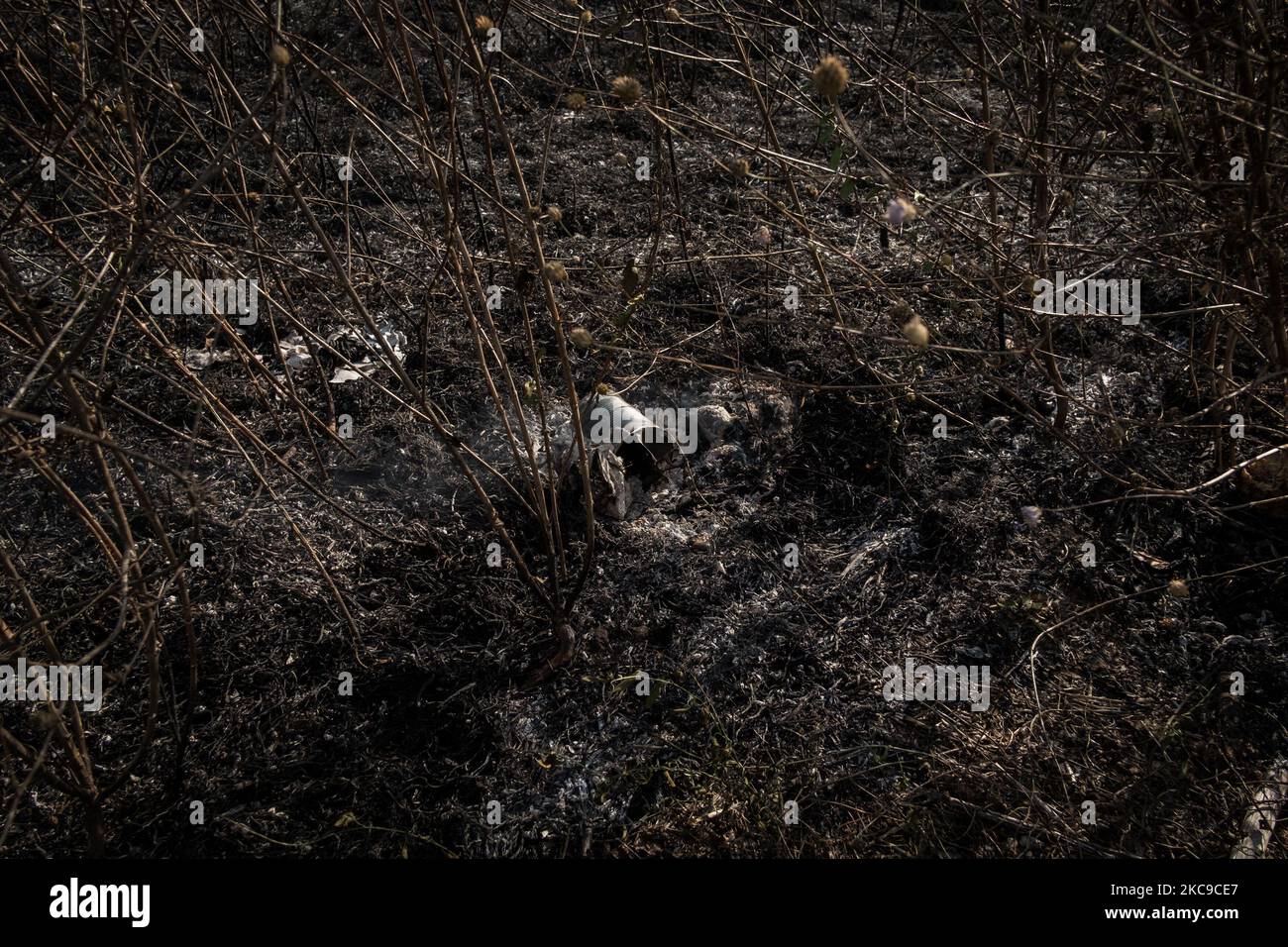 Dieses Foto vom 15. September 2019 zeigt die Überreste eines giftigen Feuers in der Villa Literno (Caserta), einer Folge des Terra dei Fuochi 'Land der Feuer'. Die „Terra dei Fuochi“ ist ein Gebiet der Region Kampanien zwischen Neapel und Caserta, das als solches durch giftige Abfallbrände und die Auslösung von Abfallbränden gekennzeichnet ist, die sich stark auf die Gesundheit der lokalen Bevölkerung ausgewirkt haben. Die Staatsanwaltschaft von Neapel Nord (Gerichtsgebäude in Aversa) mit dem Istituto Superiore di Sanit hat den schlüssigen Bericht über die Beziehung zwischen den Presen bestätigt Stockfoto