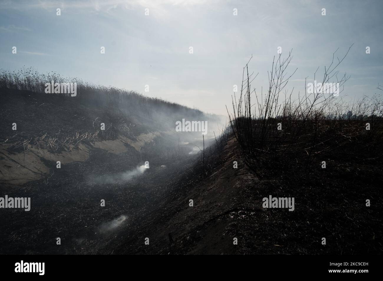 Dieses Foto vom 15. September 2019 zeigt die Überreste eines giftigen Feuers in der Villa Literno (Caserta), einer Folge des Terra dei Fuochi 'Land der Feuer'. Die „Terra dei Fuochi“ ist ein Gebiet der Region Kampanien zwischen Neapel und Caserta, das als solches durch giftige Abfallbrände und die Auslösung von Abfallbränden gekennzeichnet ist, die sich stark auf die Gesundheit der lokalen Bevölkerung ausgewirkt haben. Die Staatsanwaltschaft von Neapel Nord (Gerichtsgebäude in Aversa) mit dem Istituto Superiore di Sanit hat den schlüssigen Bericht über die Beziehung zwischen den Presen bestätigt Stockfoto