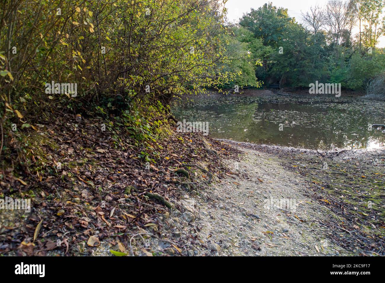 Wendover, Buckinghamshire, Großbritannien. 4.. November 2022. Der Wasserstand im Hampden Pond in Wendover ist drastisch gesunken. Die Wendover HS2 Mitigation Action Group hat bereits ihre Bedenken über die Bauarbeiten HS2 geäußert. Sie glauben, dass der Cutting and Green Tunnel von HS2 bei Wendover voraussichtlich schwere Schäden am Kalkwasserleiter verursachen wird. HS2 hat im Mai dieses Jahres eine CCTV-Untersuchung des Teichs durchgeführt, aber es war nicht bekannt, welche Ergebnisse es gibt und warum der Teichwasserstand so niedrig ist. Quelle: Maureen McLean/Alamy Live News Stockfoto