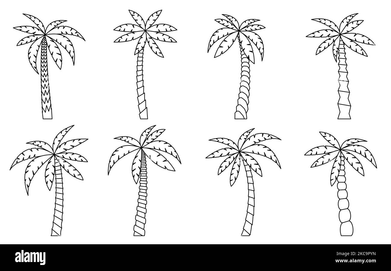Palmenbaum mit schwarzer Linie. Malbuch Seite mit tropischen Strandpflanzen. Kokosnuss Dschungel kultiviert Gartenarbeit. Exotischer Baum für einen natürlichen Urlaub, exotisches Botanik miami Banner, Hawaiianische Reisekarte Stock Vektor