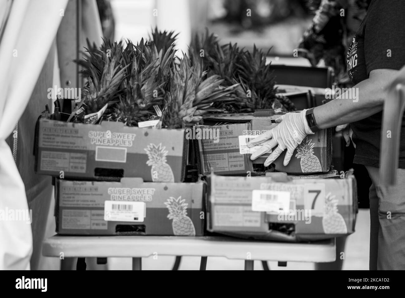 (ANMERKUNG DES HERAUSGEBERS: Bild wurde in Schwarz-Weiß umgewandelt) Freiwillige auf einem Gelände der Houston Food Bank im Freien arbeiten unermüdlich daran, Nahrungsmittel an Bedürftige zu verteilen, während die Stromkrise der letzten Woche am Nachmittag des Freitags, dem 26. Februar 2021, andauerte. (Foto von Reginald Mathalone/NurPhoto) Stockfoto