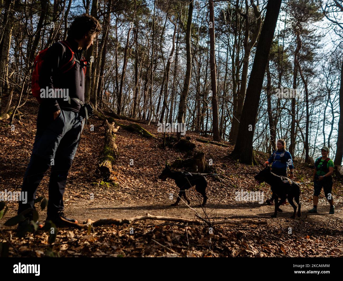 Ein Mann sieht zwei Frauen, die am ersten Wochenende bei wärmeren Temperaturen am 21.. Februar 2021 in den Niederlanden mit ihren Hunden spazieren gehen. (Foto von Romy Arroyo Fernandez/NurPhoto) Stockfoto