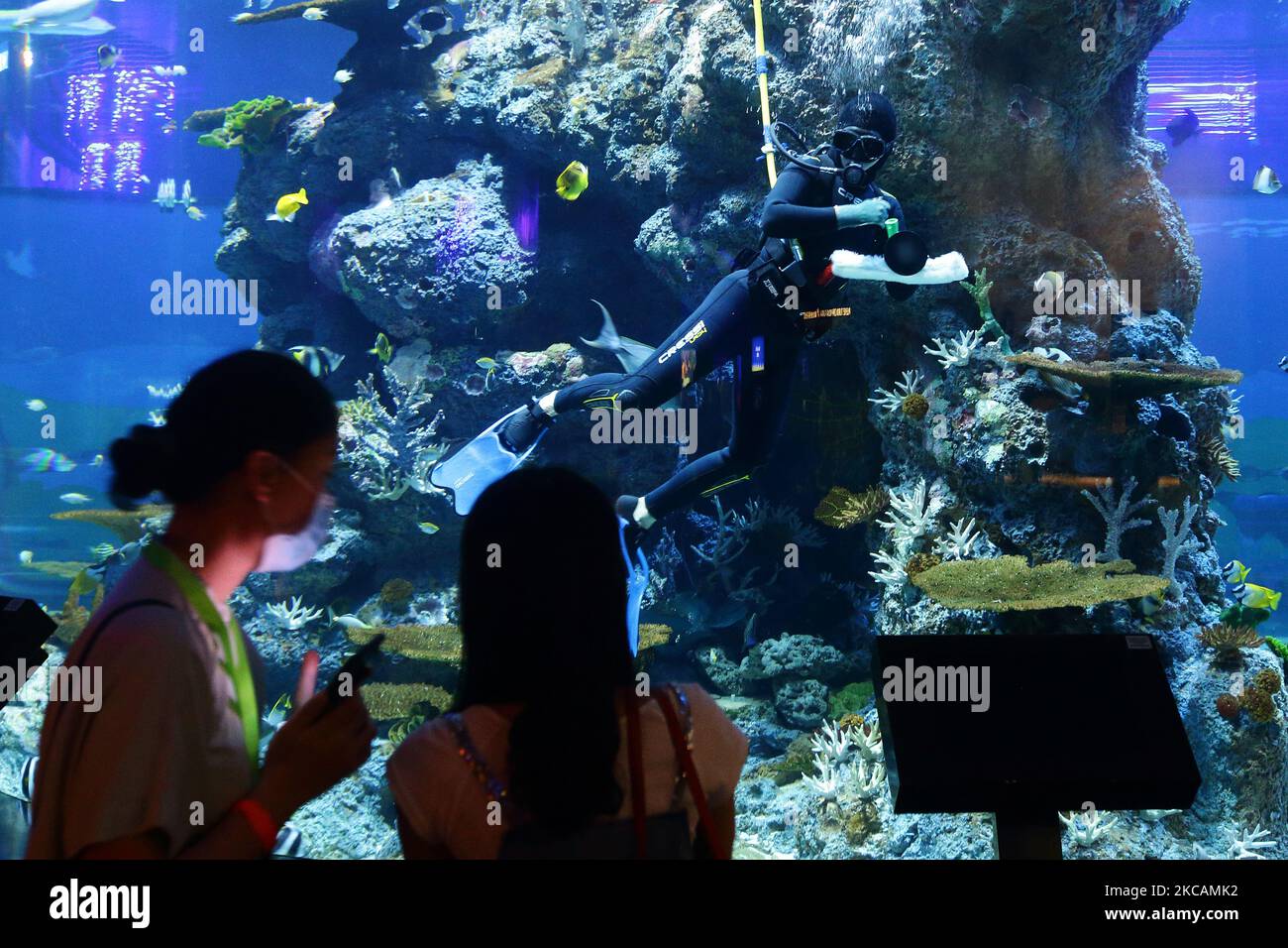 Am 11. März 2021 reinigt ein Aquarianer das Gehege der Meeresbewohner im S.E.A. Aquarium im Resorts World Sentosa in Singapur. (Foto von Suhaimi Abdullah/NurPhoto) Stockfoto