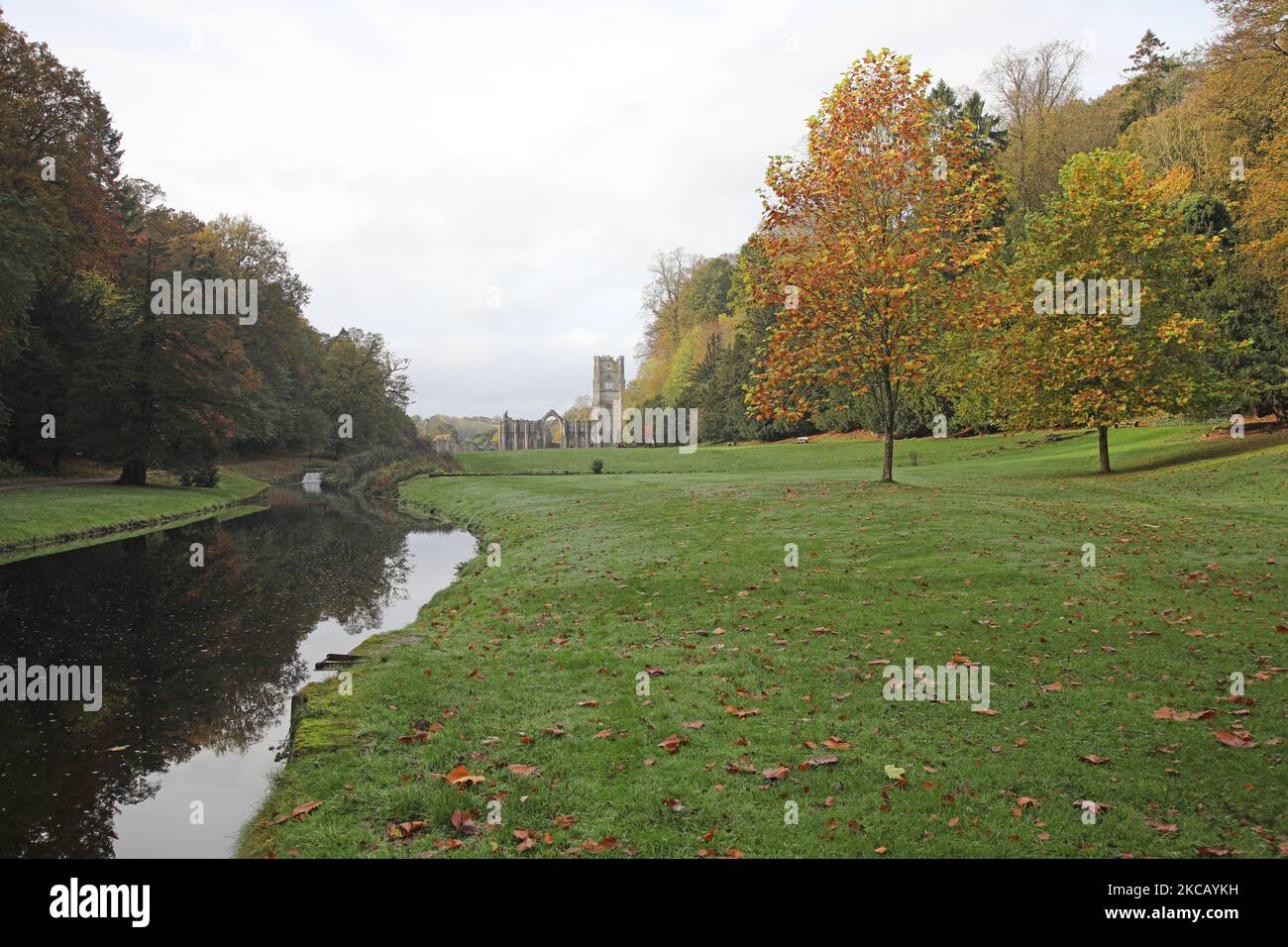 Herbst In Fountains Abbey, North Yorkshire Stockfoto