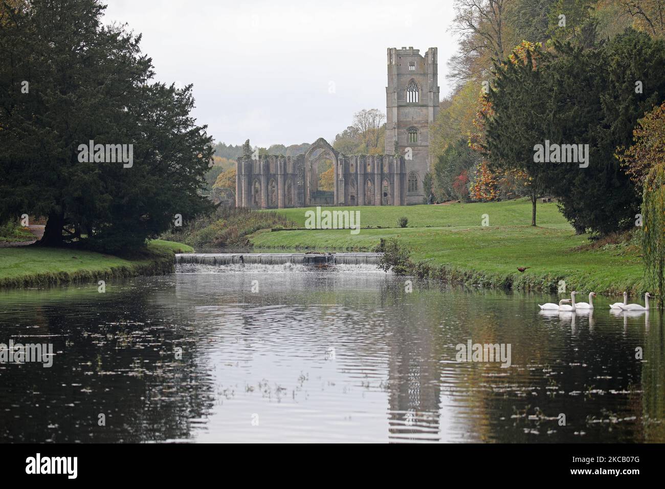 Herbst In Fountains Abbey, North Yorkshire Stockfoto