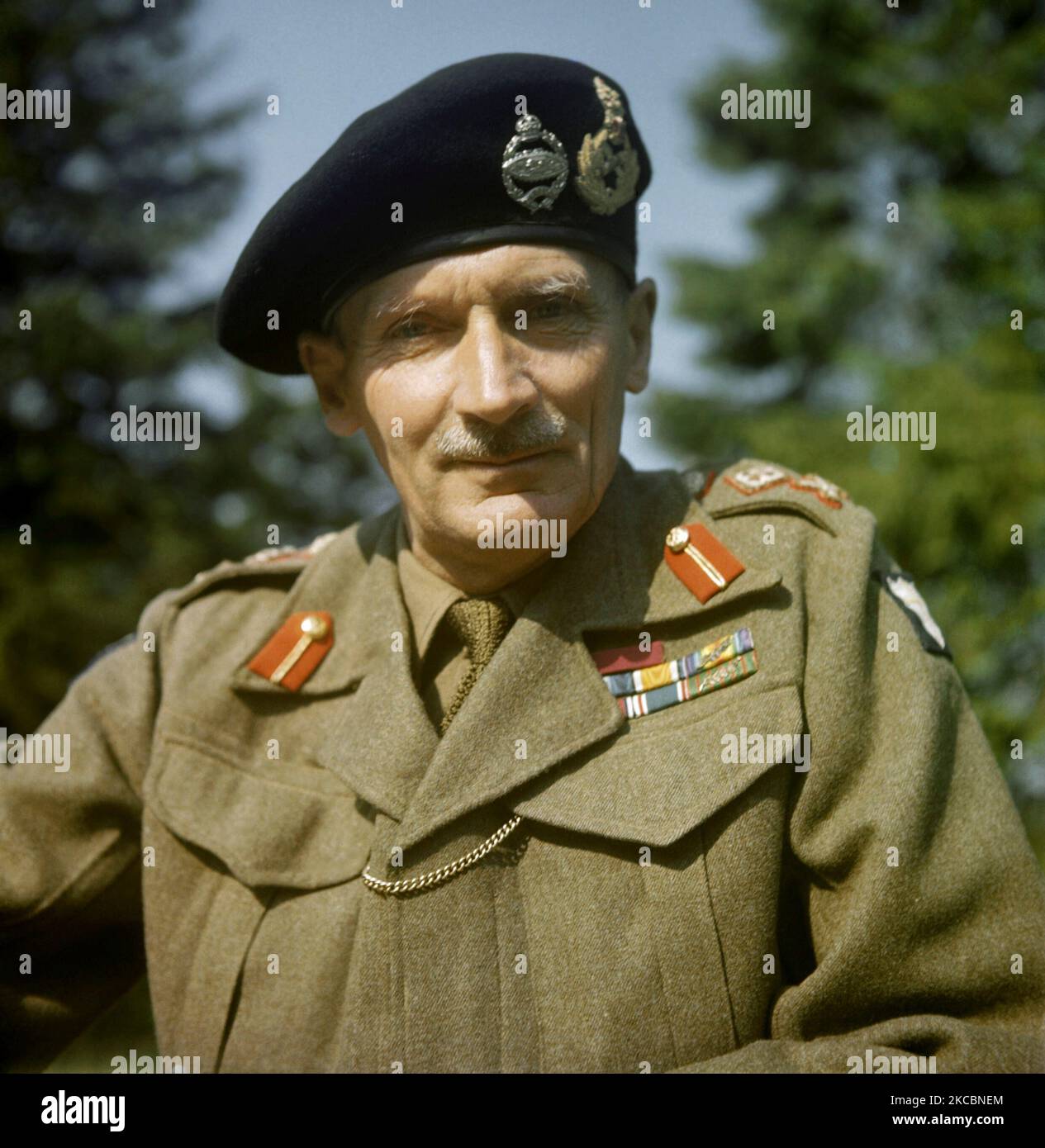 Porträt des Generals Sir Bernard Montgomery, eines leitenden Offiziers der britischen Armee. Stockfoto