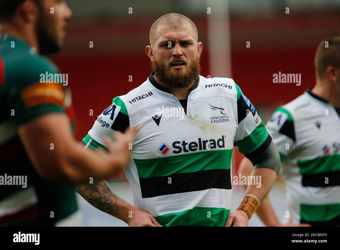 Adam Brocklebank von Newcastle Falcons schaut am 28.. März 2021 beim Gallagher Premiership-Spiel zwischen Leicester Tigers und Newcastle Falcons in der Welford Road, Leicester, Engalnd, auf. (Foto von Chris Lishman/MI News/NurPhoto) Stockfoto