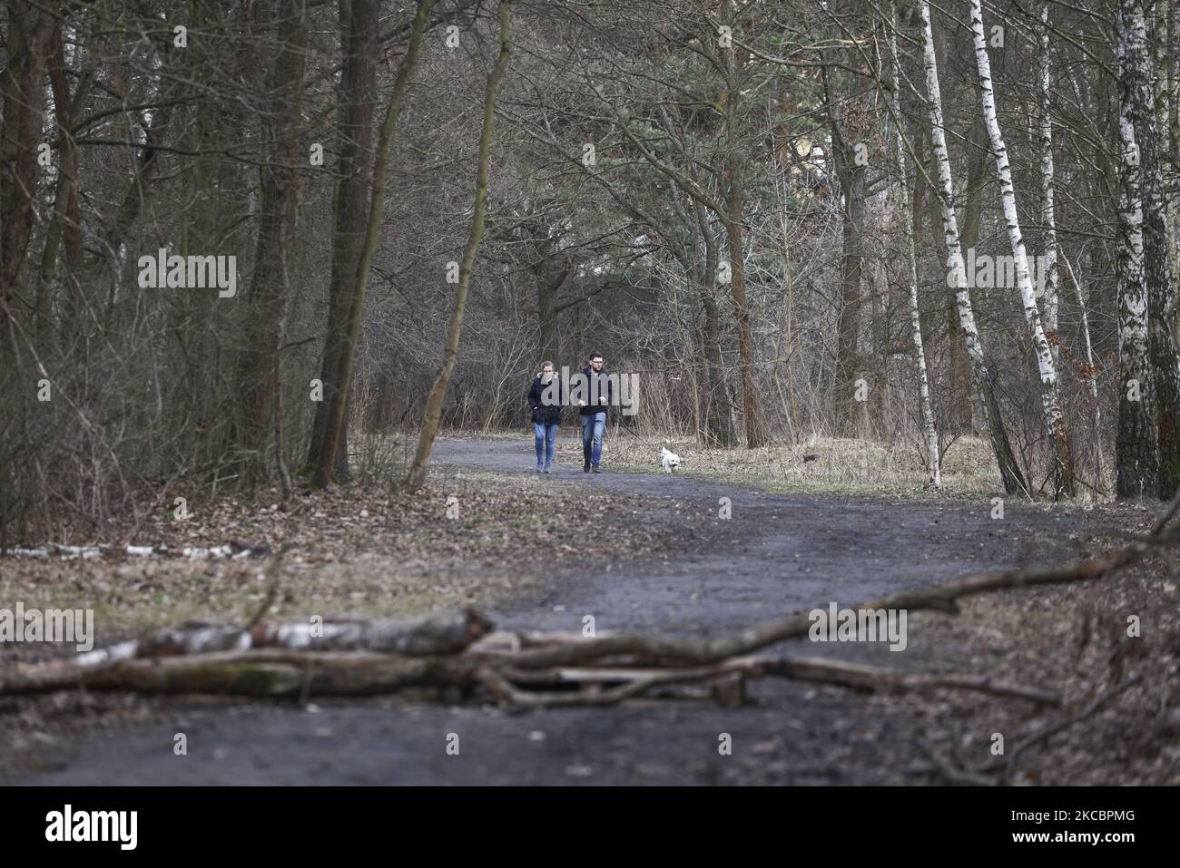 Ein Mann und eine Frau gehen am 28. März 2021 in einem Wald in Warschau, Polen, mit einem Hund spazieren. Aktuelle Epidemien-Vorschriften schließen das Tragen von Gesichtsmasken in der Natur aus. Am Samstag wurden neue Lockdown-Maßnahmen eingeführt, die die Schließung von großen Geschäftsbetrieben und Geschäften, die von der Regierung nicht als lebenswichtige Güter angesehen werden, weiter unternahmen. Da die täglichen Neuerkrankungen von Coronavirus-Infektionen über 30 Tausend gestiegen sind, kündigte das Gesundheitsministerium an, dass die Dienste die Grenzen der COVID-19-Krise erreichen. (Foto von Jaap Arriens/NurPhoto) Stockfoto