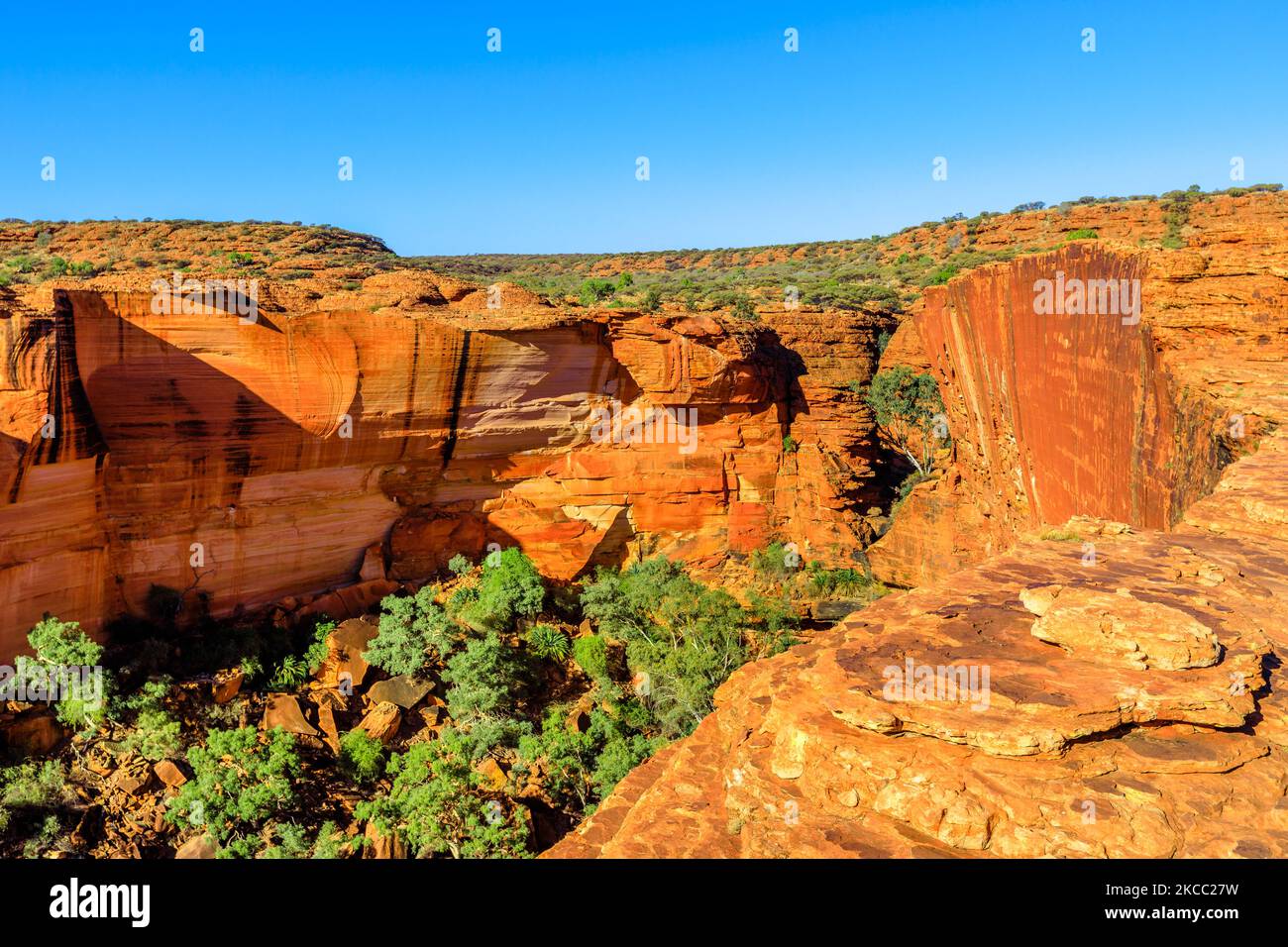 Panoramablick auf Watarrka National Park, Australien Outback Red Centre, Northern Territory. Rand des Kings Canyon mit hohen Mauern, rotem Sandstein und Stockfoto