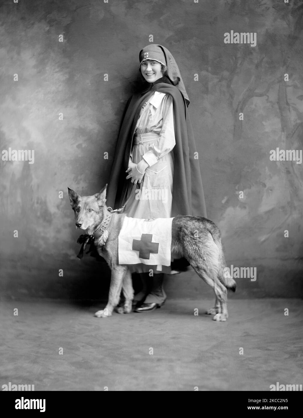 Eine Krankenschwester des Roten Kreuzes in Uniform zusammen mit einem Diensthund des Roten Kreuzes während des Ersten Weltkriegs, 1917. Stockfoto