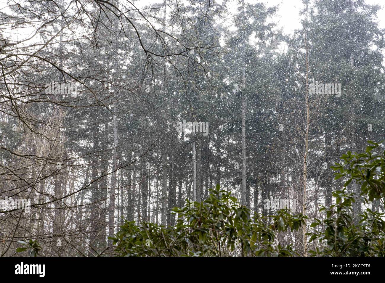 Der Schneefall in den Niederlanden macht das erste „Weiße Ostern“ nach langer Zeit mit einem deutlichen Temperaturabfall und erreicht nach Angaben der niederländischen Wetterbehörde KNMI den Gefrierpunkt, was den Ostermontag zu einem der kältesten Tage aller Zeiten mit niedrigen Temperaturen macht. Zusätzlich zu Schnee, Hagel und hoher Geschwindigkeit kam es zu starkem eisgekühlten Wind. Die KNMI hat für Montag Abend eine gelbe Wetterwarnung herausgegeben, die besagt, dass es starke Winde und rutschige Bedingungen auf den Straßen geben wird. Die Explosion des kalten Wetters mit dem unheimlichen Wetter erschien nach historischen Tagen der Wärme in Europa. Eindhoven, Neth Stockfoto