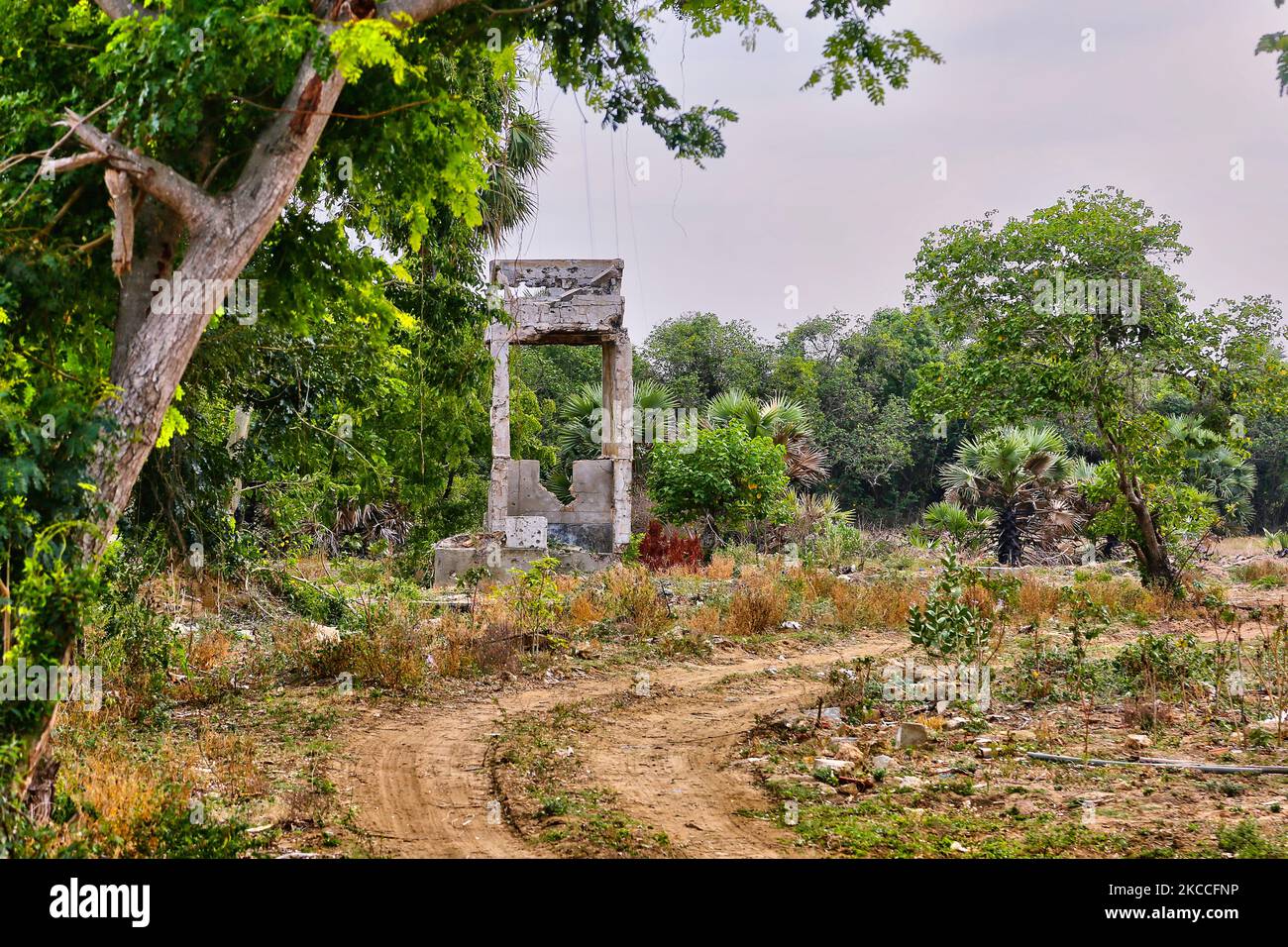 Überreste eines Gebäudes, das durch einen der zahlreichen Bombenangriffe während des Bürgerkrieges in Mugamalai, Sri Lanka, zerstört wurde. Dies ist nur eine der vielen Erinnerungen an die tiefen Narben, die während des 26-jährigen Bürgerkrieges zwischen der srilankischen Armee und der LTTE (Liberation Tigers of Tamil Eelam) entstanden sind. Die Vereinten Nationen schätzen, dass während des Krieges etwa 40.000 Menschen getötet wurden. (Foto von Creative Touch Imaging Ltd./NurPhoto) Stockfoto