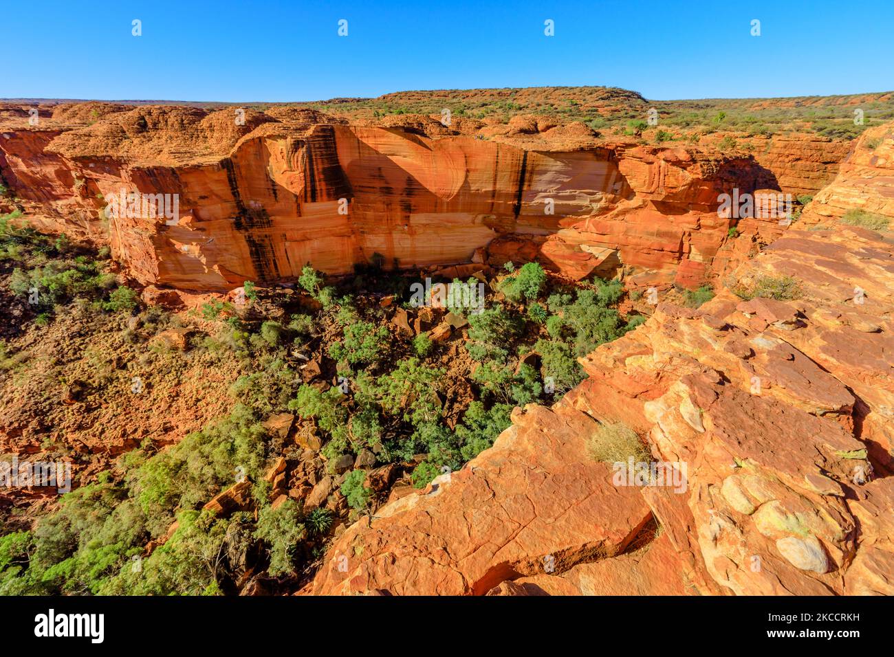 Kings Canyon mit hohen Mauern, rotem Sandstein und Garten Eden mit Gummibäumen und Buschvegetation. Luftaufnahmen des Watarrka National Park, Australien Stockfoto