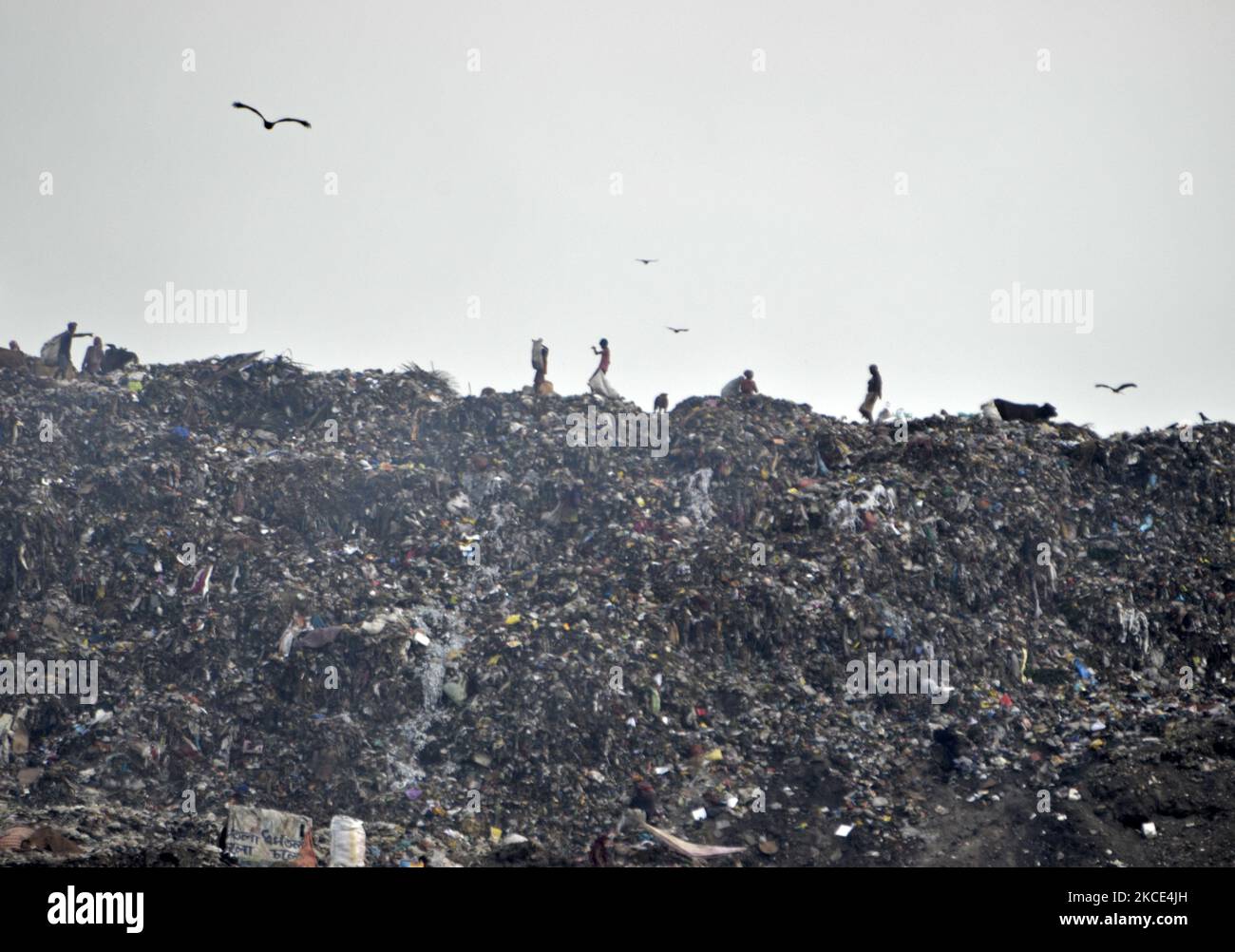 Mülldeponie in Kalkutta, Indien, am 7. Mai 2021. Von den 30 am stärksten verschmutzten Städten der Welt befinden sich 22 in Indien, laut einer Studie von IQ AirVisual, einer in der Schweiz ansässigen Gruppe, die weltweit Luftqualitätsdaten sammelt, und Greenpeace laut einem indischen Medienbericht. (Foto von Indranil Aditya/NurPhoto) Stockfoto