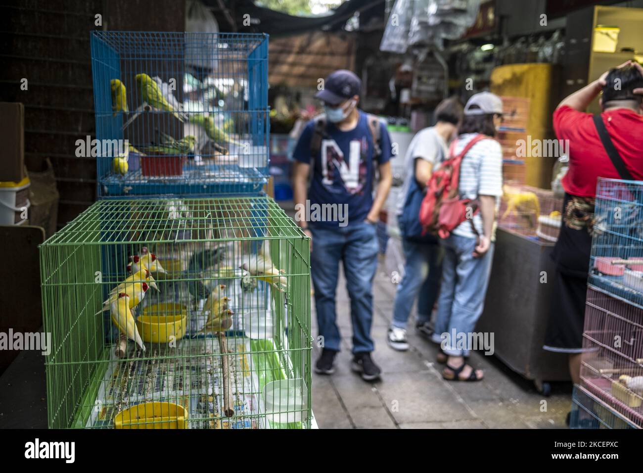 Menschen schauen Vögel in Hongkong an, Donnerstag, 13. Mai 2021. (Foto von Vernon Yuen/NurPhoto) Stockfoto