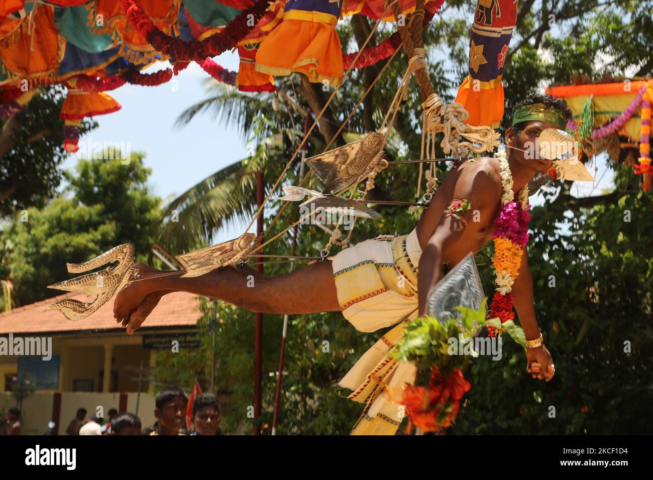 Tamilische Hindu-Anhänger führen das para-Kavadi-Ritual (wo sie von Haken aufgehängt werden, die in ihren Rücken und ihre Beine getrieben werden und auf und ab prallten, während sie die Außenseite des Tempels umkreisen) als Bußakt während des Amman Ther Thiruvizha Festivals im Tellipalai Amman Tempel in Tellipalai durch, Nordprovinz, Sri Lanka. Während dieses religiösen Festivals zeigen mehrere Anhänger ihre Hingabe, indem sie Opfer darbringen und ihre Körper mit Metallhaken und Spiessen durchstechen. (Foto von Creative Touch Imaging Ltd./NurPhoto) Stockfoto