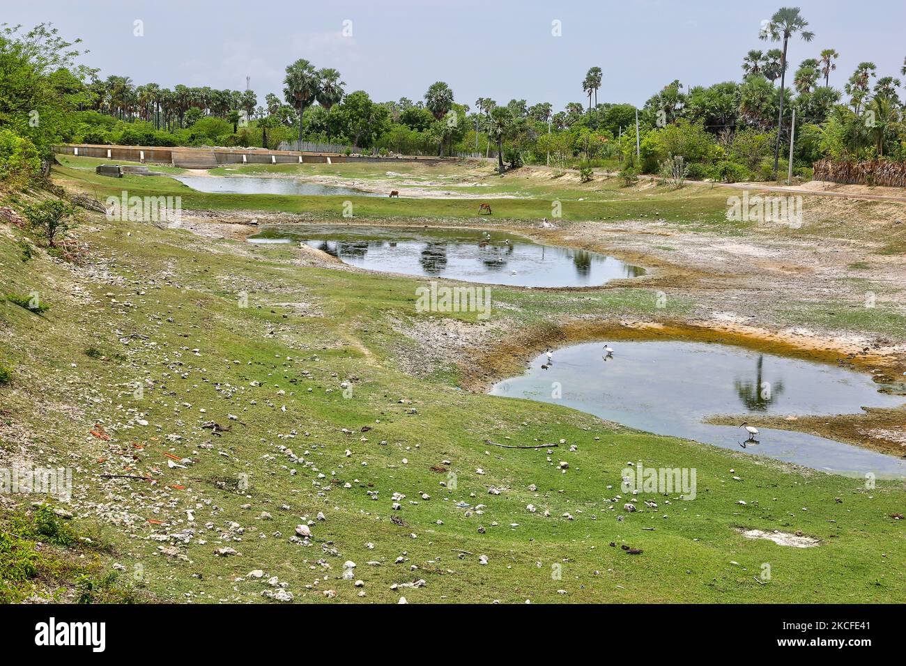 Während des Bürgerkrieges in Jaffna, Sri Lanka, wurden noch Krater von Bombenangriffen zurückgelassen. Dies ist nur eine der vielen Erinnerungen an die tiefen Narben, die während des 26-jährigen Bürgerkrieges zwischen der srilankischen Armee und der LTTE (Liberation Tigers of Tamil Eelam) entstanden sind. Die Vereinten Nationen schätzen, dass während des Krieges etwa 40.000 Menschen getötet wurden. (Foto von Creative Touch Imaging Ltd./NurPhoto) Stockfoto