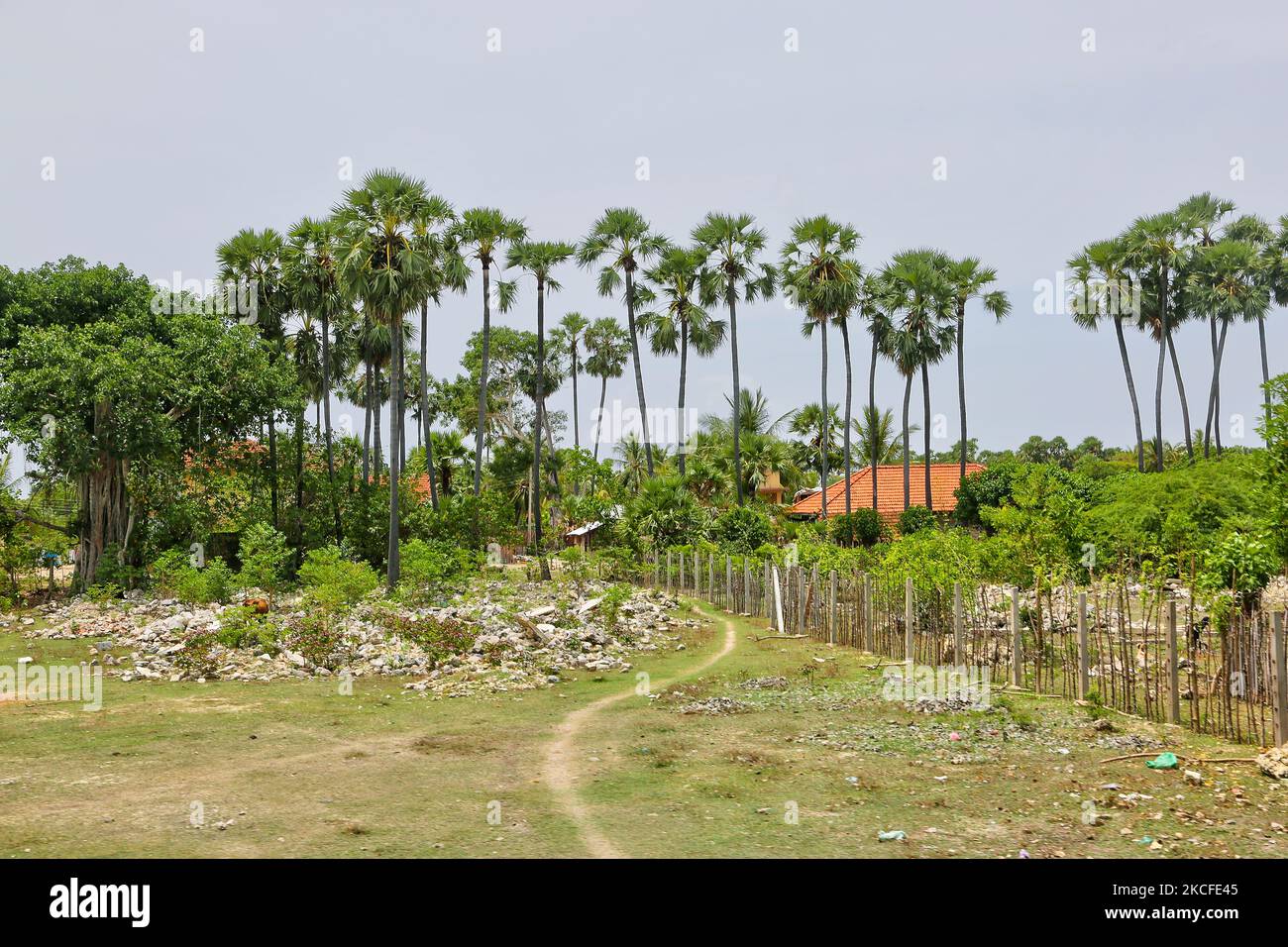 Trümmer sind alles, was von einem Gebäude übrig bleibt, das während des Bürgerkrieges in Jaffna, Sri Lanka, durch Bombenangriffe zerstört wurde. Dies ist nur eine der vielen Erinnerungen an die tiefen Narben, die während des 26-jährigen Bürgerkrieges zwischen der srilankischen Armee und der LTTE (Liberation Tigers of Tamil Eelam) entstanden sind. Die Vereinten Nationen schätzen, dass während des Krieges etwa 40.000 Menschen getötet wurden. (Foto von Creative Touch Imaging Ltd./NurPhoto) Stockfoto
