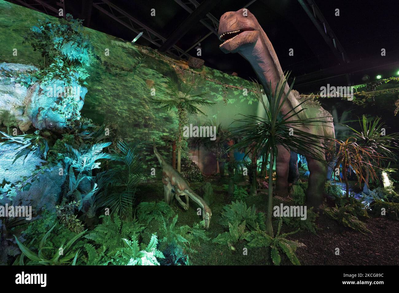 Eine Nachbildung eines Dinosauriers während der großen WELTAUSSTELLUNG DER DINO auf der IFEMA MADRID, die einen Einblick in die faszinierende Jurassic World in Madrid, Spanien, am 19. Juni 2021 gewährt. (Foto von Oscar Gonzalez/NurPhoto) Stockfoto