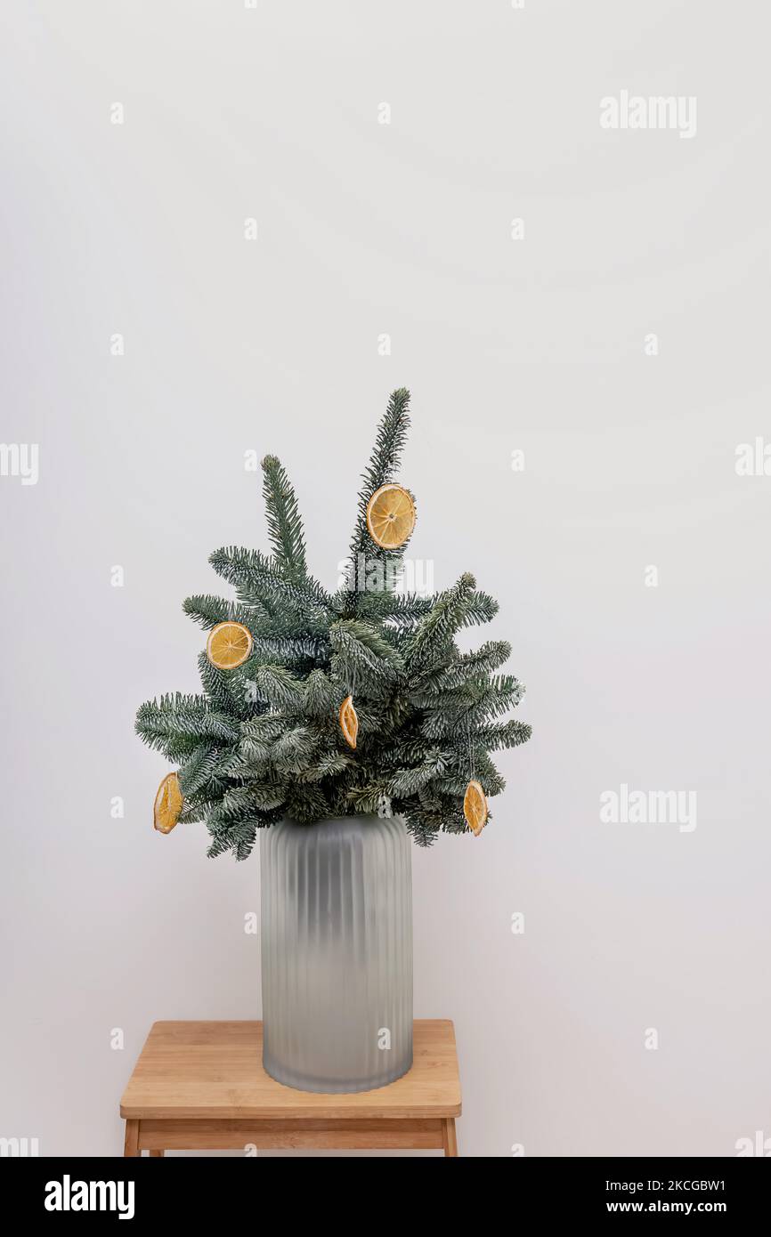 Tannenzweige, die mit trockenen Orangen in einer Vase über einer weißen Wand geschmückt sind. Minimalistische einrichtung für nordische Weihnachten. Stockfoto