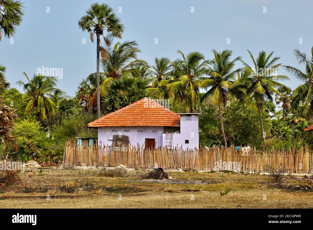 Kürzlich errichtete Häuser (gesponsert von der indischen Regierung), um die während des Bürgerkrieges in Jaffna, Sri Lanka zerstörten Häuser zu ersetzen. Dies ist nur eine der vielen Erinnerungen an die tiefen Narben, die während des 26-jährigen Bürgerkrieges zwischen der srilankischen Armee und der LTTE (Liberation Tigers of Tamil Eelam) entstanden sind. Die Vereinten Nationen schätzen, dass während des Krieges etwa 40.000 Menschen getötet wurden. (Foto von Creative Touch Imaging Ltd./NurPhoto) Stockfoto