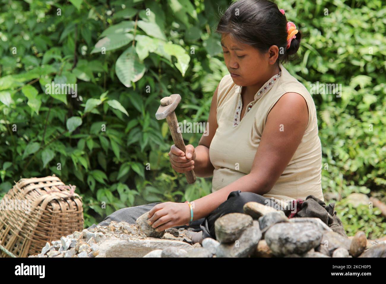 Sikkimese-Arbeiterin zerlegt Steine in kleinere Steine, die am 02. Juni 2010 in Khechuperi, Sikkim, Indien, zur Herstellung von Zement und Baumaterialien verwendet werden. (Foto von Creative Touch Imaging Ltd./NurPhoto) Stockfoto