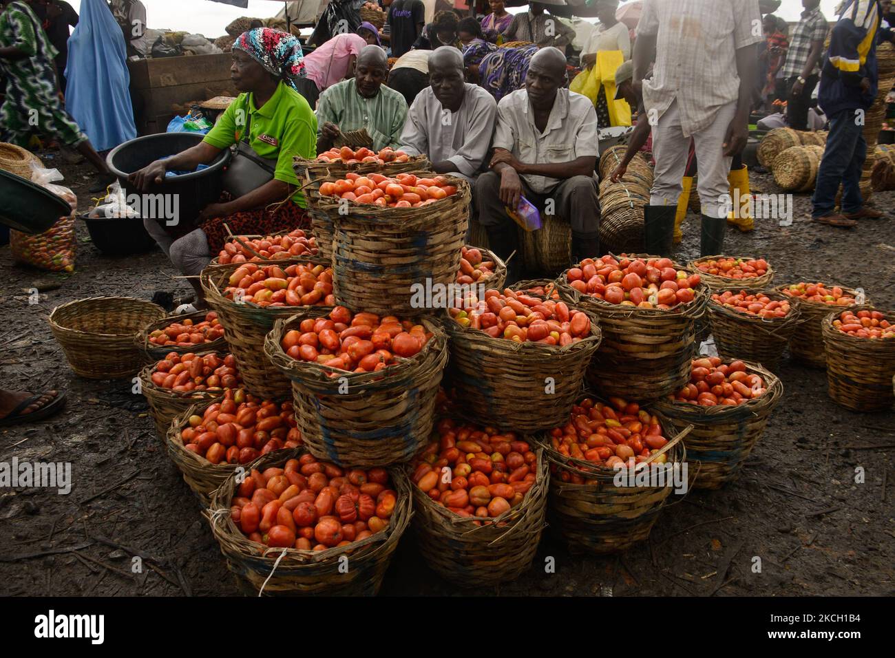 Auf dem Mile-12-Markt in Lagos stellen die Händler Tomaten zum Verkauf aus. Die Lebensmittelpreise bleiben trotz eines Rückgangs der Inflationsrate auf 17,93 % im Mai 2021 am 7. Juli 2021 hoch. Die Weltbank sagte, dass die steigende Inflation und die steigenden Preise des Landes schätzungsweise sieben Millionen Nigerianer im Jahr 2020 unter die Armutsgrenze getrieben hätten. Dieser Anstieg des Lebensmittelindex wurde durch die Preiserhöhungen bei Brot, Getreide, Milch, Käse, Eiern, Fisch, alkoholfreie Getränke, Kaffee, Tee und Kakao, Obst, Fleisch, Öle, Fette und Gemüse. (Foto von Olukayode Jaiyeola/NurPhoto) Stockfoto