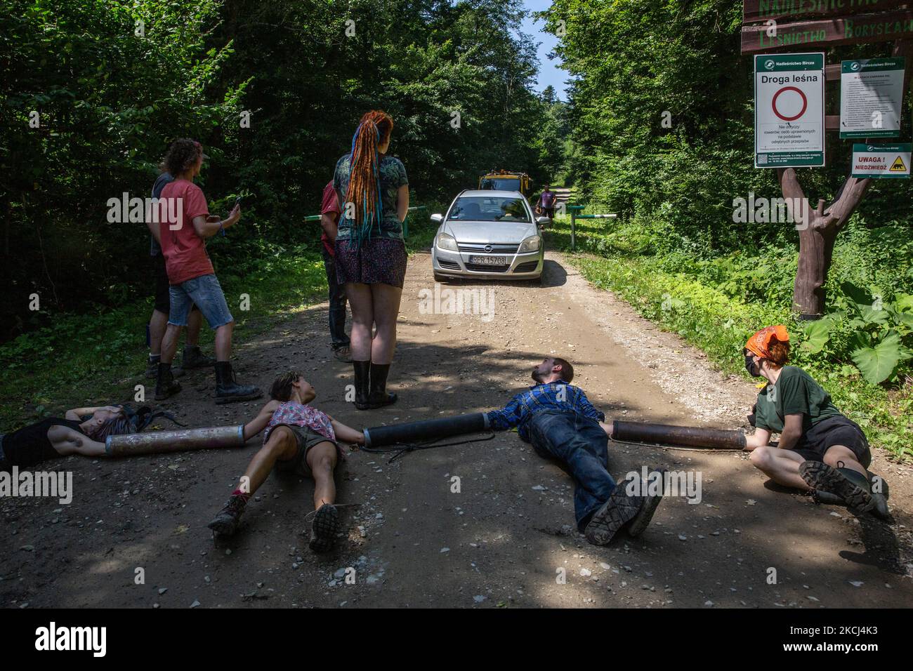 Umweltaktivisten sehen sich aggressiven Fahrern gegenüber, die während ihres Protestes gegen die Entwaldung auf einer Staubstraße, die am 28. Juli 2021 in den Turnicki-Wald in der Nähe von Arlamow, Karpaten, im Südosten Polens, eindringt. Die Aktivisten verriegeln sich in Metallrohren und liegen auf der Straße, um Lastwagen mit Holz zu stoppen. Die Wilde Karpaten-Initiative setzt ihren beruflichen Protest gegen die Entwaldung des Gebiets Turnicki in den Karpaten fort. Die Gruppe blockiert seit Ende April, als der National Forest für wieder in großem Stil eingesetzt wurde, die Zugänge zu strategischen Pfaden der Schneidecrews Stockfoto