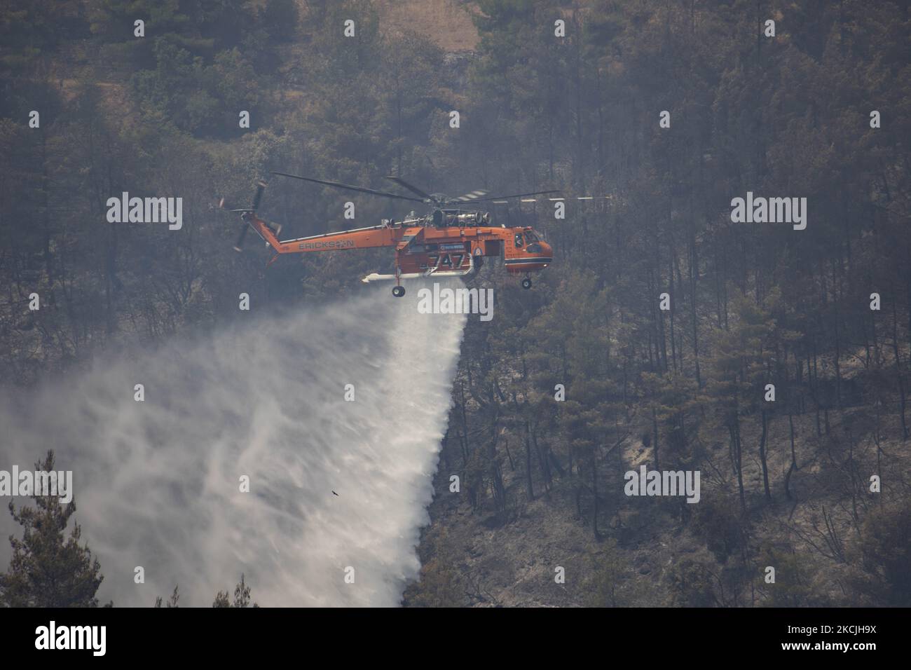 Erickson Air-Crane - Sikorsky S-64 Skycrane lässt Wasser fallen, während die Feuerwehrleute am 11. August 2021 im Dorf Galatsonas auf der griechischen Insel Evia (Euboea) ein Waldbrand bekämpfen. - Fast 100.000 Hektar Wald- und Ackerland haben in weniger als zwei Wochen in Griechenland bei der schlimmsten Waldbrandwelle seit 2007 verbrannt, sagte das Europäische Waldbrandinformationssystem (EFFIS) am Mittwoch. Stockfoto