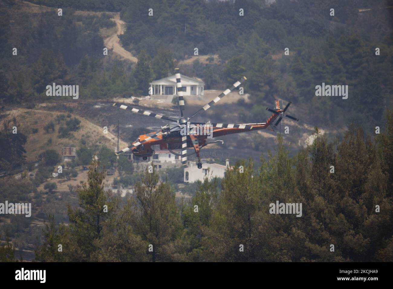 Erickson Air-Crane - Sikorsky S-64 Skycrane lässt Wasser fallen, während die Feuerwehrleute am 11. August 2021 im Dorf Galatsonas auf der griechischen Insel Evia (Euboea) ein Waldbrand bekämpfen. - Fast 100.000 Hektar Wald- und Ackerland haben in weniger als zwei Wochen in Griechenland bei der schlimmsten Waldbrandwelle seit 2007 verbrannt, sagte das Europäische Waldbrandinformationssystem (EFFIS) am Mittwoch. Stockfoto