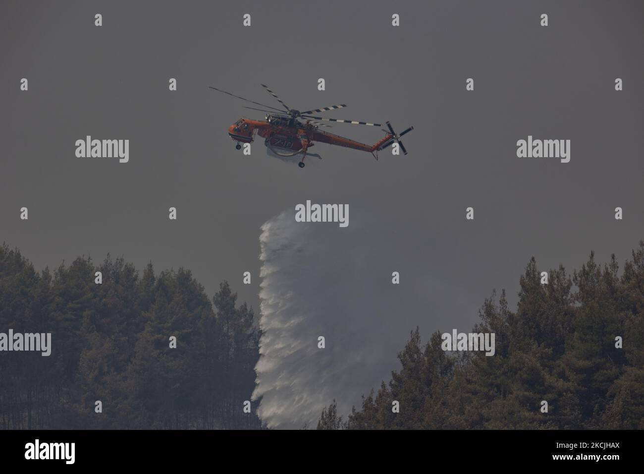 Erickson Air-Crane - Sikorsky S-64 Skycrane lässt Wasser fallen, während die Feuerwehrleute am 11. August 2021 im Dorf Galatsonas auf der griechischen Insel Evia (Euboea) ein Waldbrand bekämpfen. - Fast 100.000 Hektar Wald- und Ackerland haben in weniger als zwei Wochen in Griechenland bei der schlimmsten Waldbrandwelle seit 2007 verbrannt, sagte das Europäische Waldbrandinformationssystem (EFFIS) am Mittwoch. Stockfoto