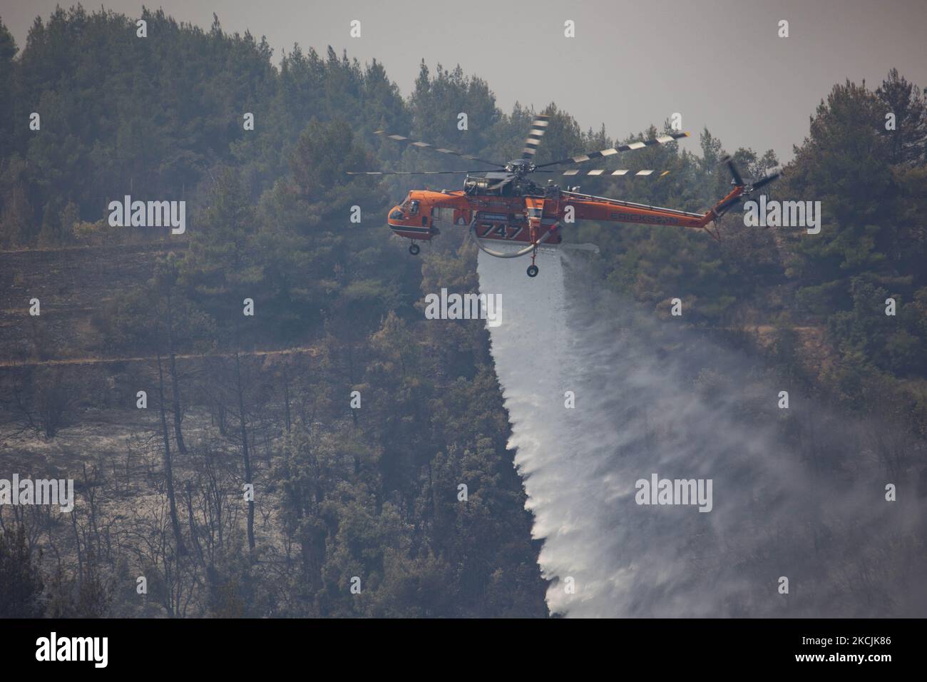 Erickson Air-Crane - Sikorsky S-64 Skycrane lässt Wasser fallen, während die Feuerwehrleute am 11. August 2021 im Dorf Galatsonas auf der griechischen Insel Evia (Euboea) ein Waldbrand bekämpfen. - Fast 100.000 Hektar Wald- und Ackerland haben in weniger als zwei Wochen in Griechenland bei der schlimmsten Waldbrandwelle seit 2007 verbrannt, sagte das Europäische Waldbrandinformationssystem (EFFIS) am Mittwoch. Stockfoto