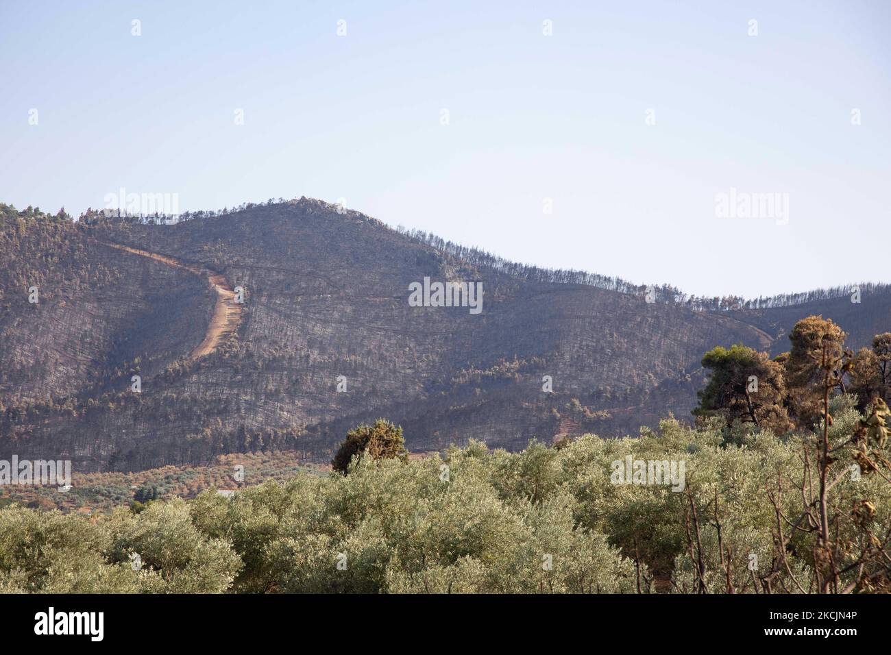 Der Blick auf den verbrannten Berg. Die Folgen der Brände in Griechenland, während im Wald immer noch kleine Flammen brennen. In Griechenland kam es zu einer großen Umweltkatastrophe. Wald, Pinien, Olivenhaine, Unternehmen, Hotels, Häuser, Fahrzeuge und Tiere wurden verbrannt. Das Feuer war nach einem nächtlichen Regen vorbei, während die griechischen Feuerwehrleute, lokale Freiwillige, ausländische Feuerwehrleute, Flugzeuge und Hubschrauber kämpften um das Waldfeuer auf der griechischen Insel Evia (Euboea) - in weniger als zwei Wochen sind in Griechenland fast 100.000 Hektar Wald- und Ackerland verbrannt Stockfoto