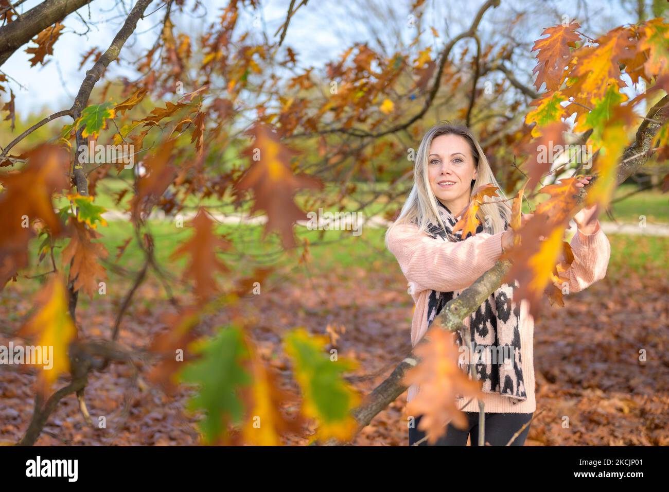 Eine sanft lächelnde Frau mittleren Alters, die einen Pullover und einen Schal trägt, steht neben einem Baum mit beiden Händen auf einem Ast vor einem herbstlichen Hintergrund Stockfoto