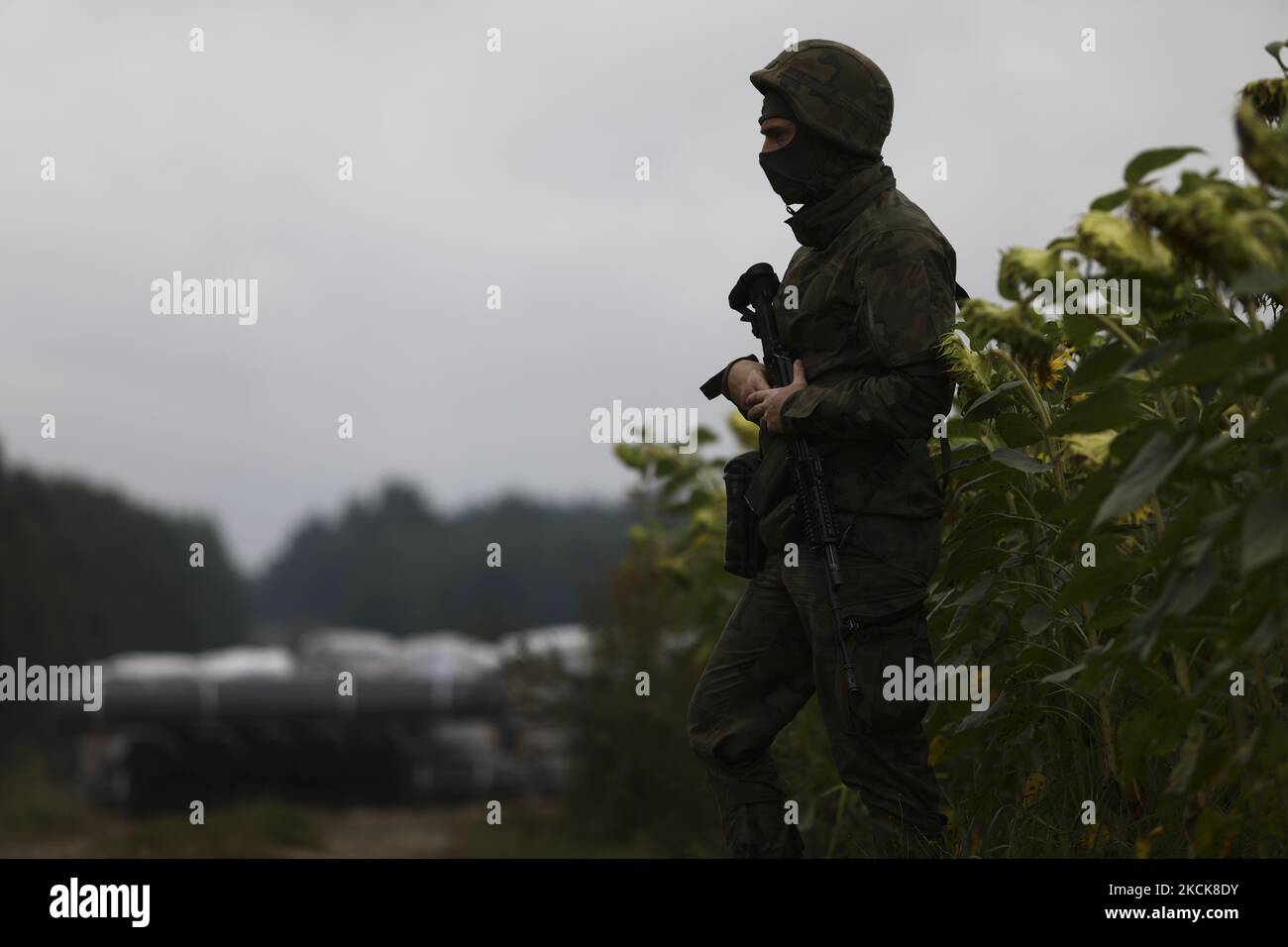 Ein Soldat steht am 27. August 2021 in Krynki, Polen, in der Nähe der Grenze zu Belarus auf der Wache. Polen baut einen 100 Kilometer langen Zaun, um dem Zustrom von Migranten aus Belarus Einhalt zu Gebieten. Im Monat August haben mehr als 2000 Migranten die Grenze nach Polen überschritten, im Vergleich zu nur rund 80 im letzten Jahr. Dem Lukaschenko-Regime wird vorgeworfen, die Ankunft von Tausenden von Migranten aus dem Nahen Osten als Vergeltung für EU-Sanktionen zu inszenieren. (Foto von STR/NurPhoto) Stockfoto