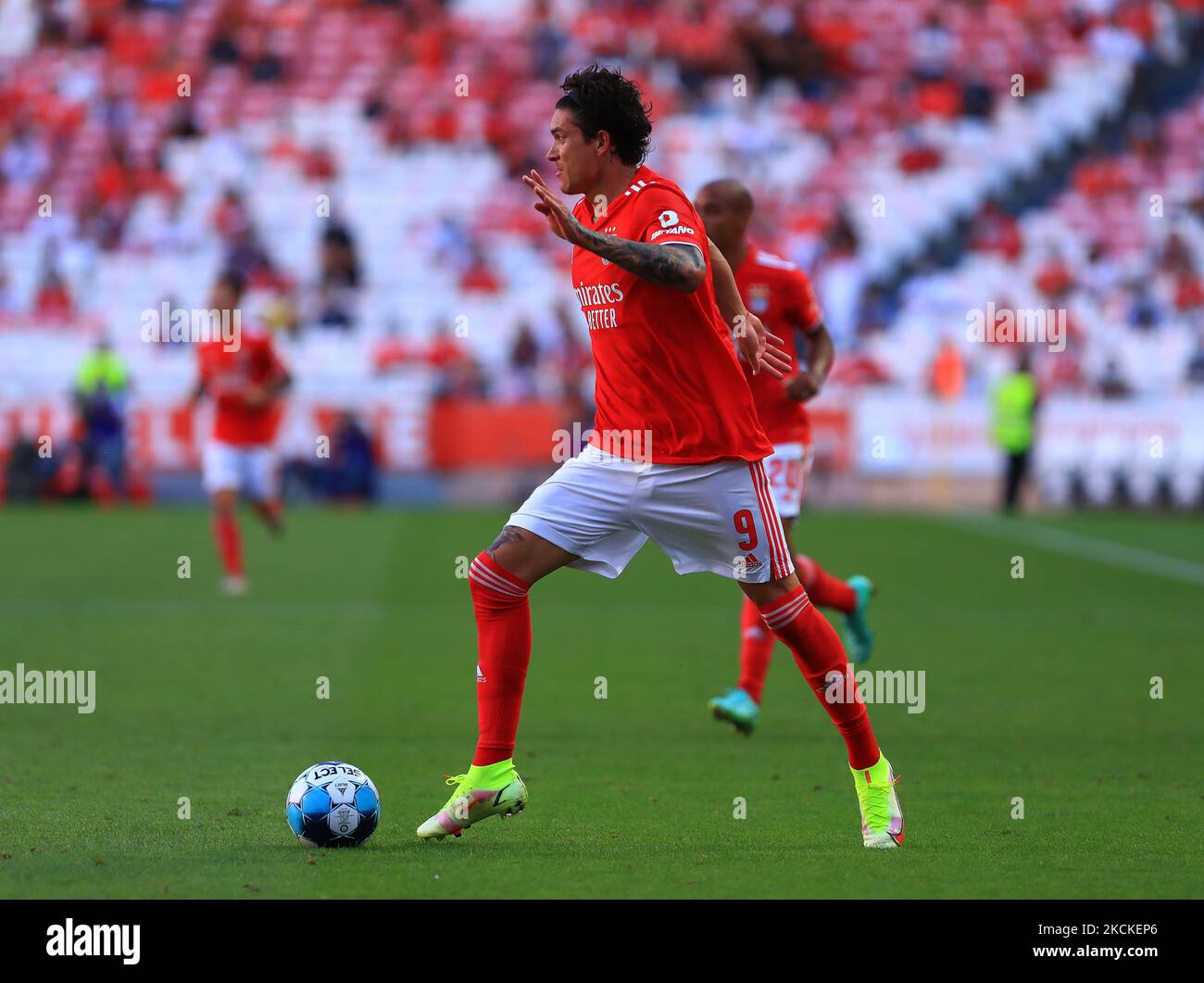 Darwin Nunez während des Liga-Bwin-Spiels zwischen SL Benfica und CD tondela im Estadio da Luz am 29. August 2021 in Lissabon, Portugal. (Foto von Paulo Nascimento/NurPhoto) Stockfoto