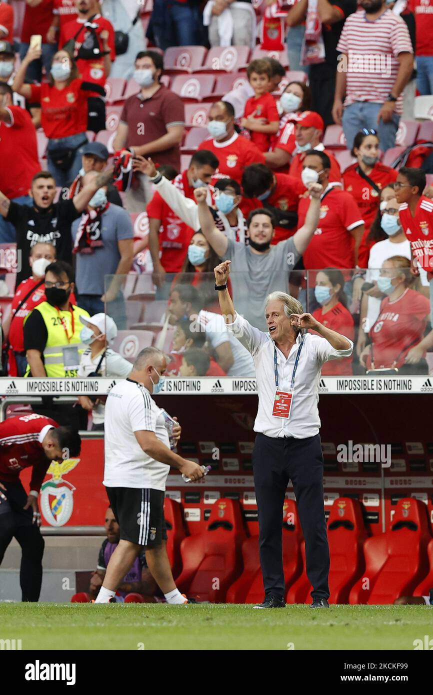 Jorge Jesus Gesten während des Spiels um Liga BWIN zwischen SL Benfica und CD Tondela, im Estádio da Luz, Lissabon, Portugal, 29. August, 2021 (Foto von João Rico/NurPhoto) Stockfoto