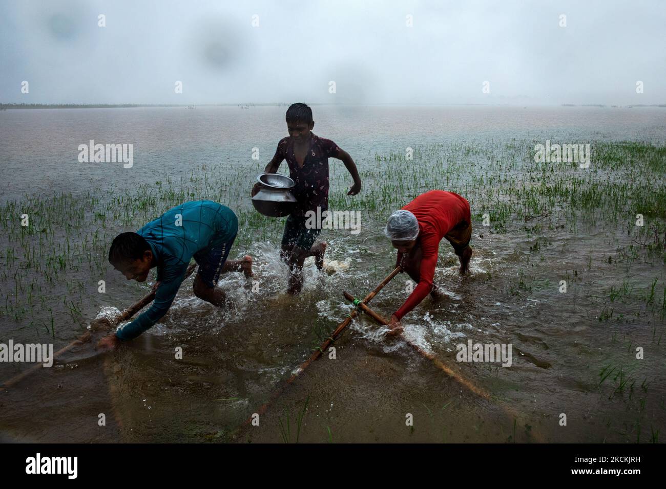 Einheimische Jungen fangen bei starkem Regen in Sunamganj, Bangladesch, Fisch mit traditionellem Fangnetz. (Foto von Mushfiqul Alam/NurPhoto) Stockfoto