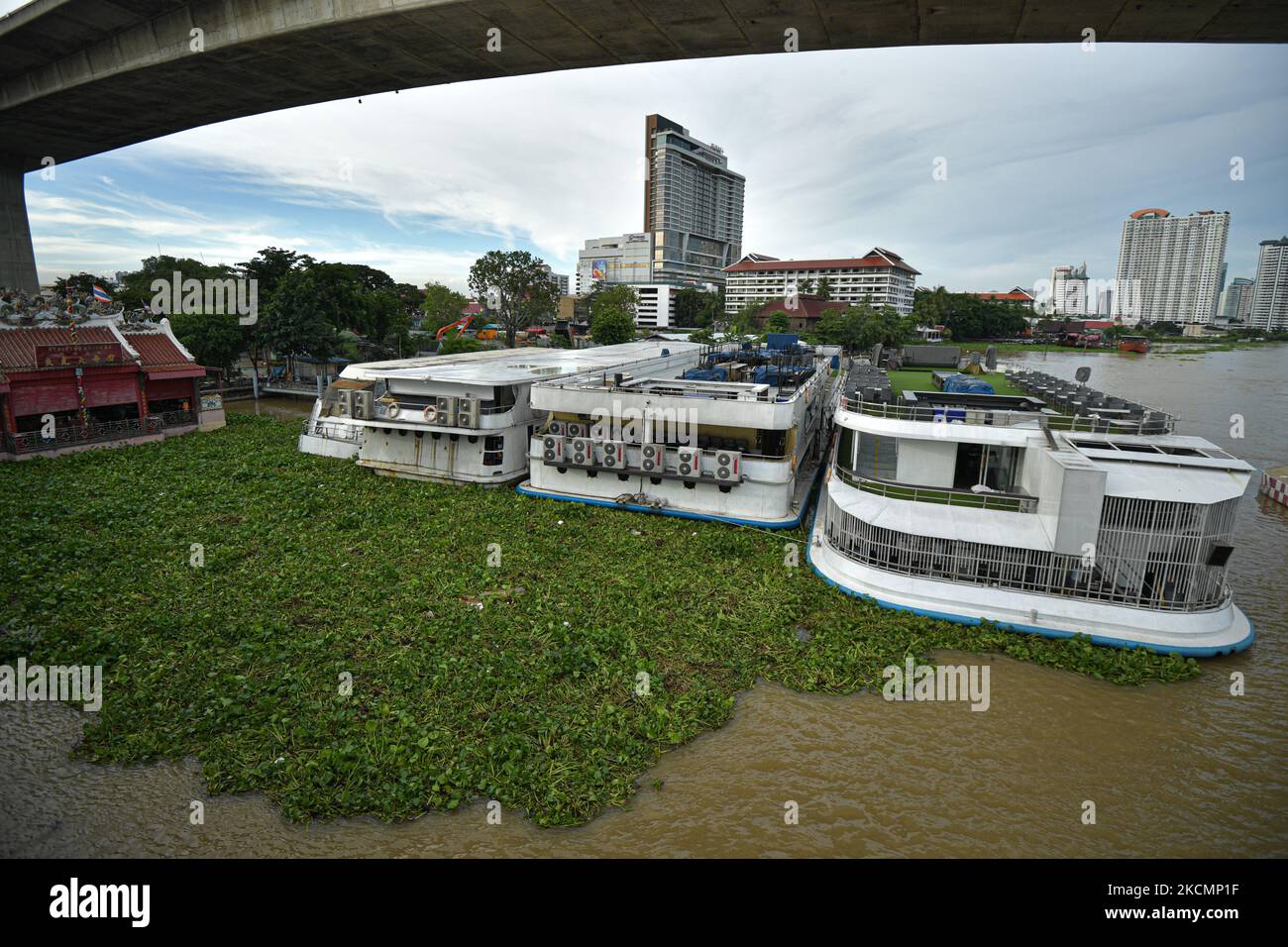 Am 17. September 2021 schwimmt das Restaurant auf dem Chao Phraya Fluss in Bangkok, Thailand, von der Wasserhyazinthe umgeben. (Foto von Vachira Vachira/NurPhoto) Stockfoto