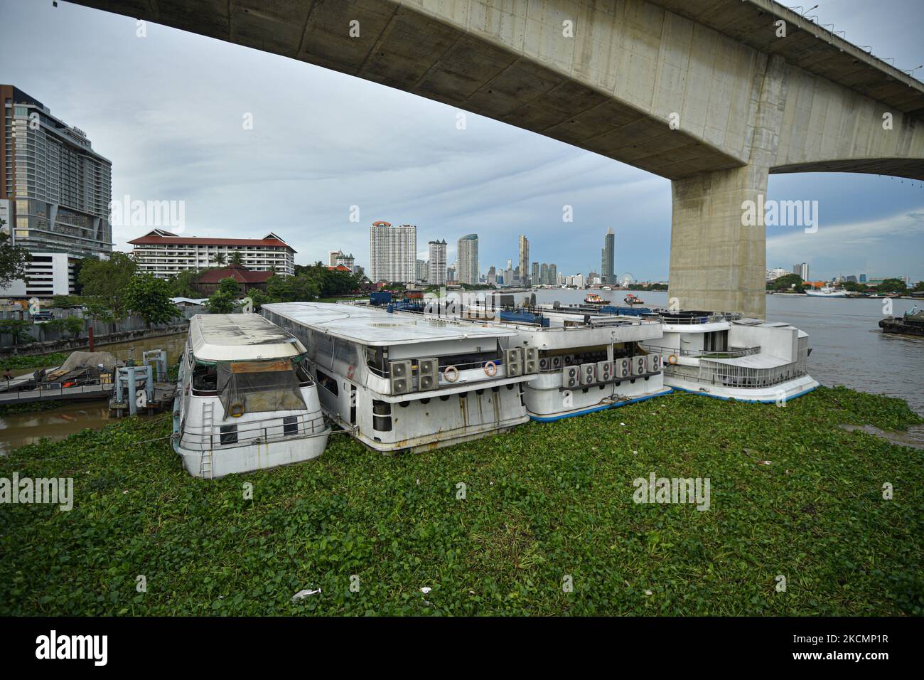 Am 17. September 2021 schwimmt das Restaurant auf dem Chao Phraya Fluss in Bangkok, Thailand, von der Wasserhyazinthe umgeben. (Foto von Vachira Vachira/NurPhoto) Stockfoto